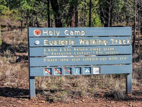 Holy Camp