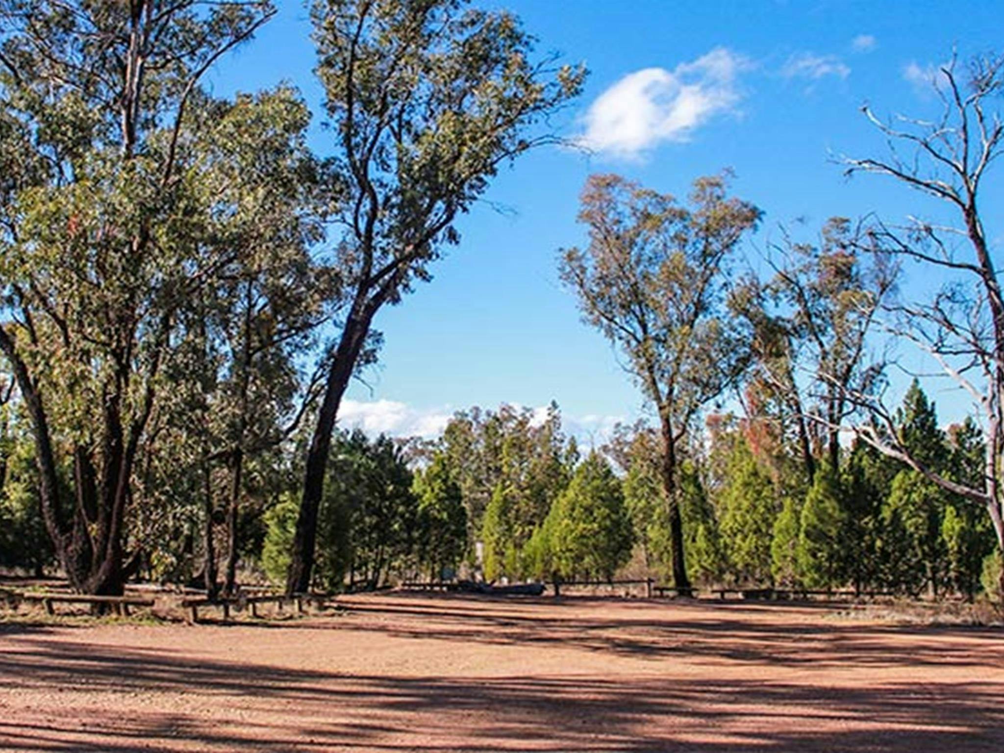聖營，韋丁山國家公園。照片：C Davis/新南威爾斯州政府