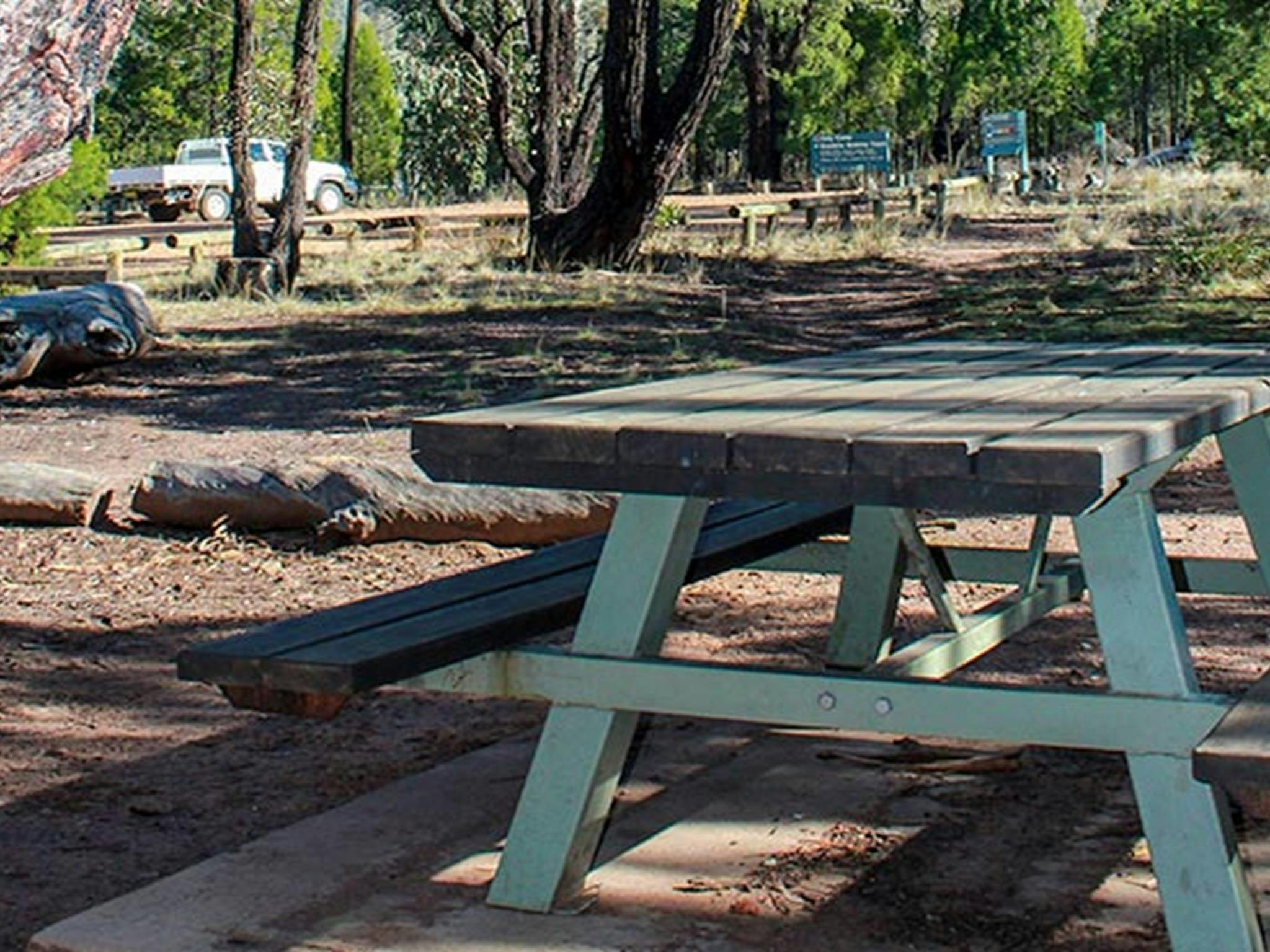 聖營，韋丁山國家公園。照片：C Davis/新南威爾斯州政府