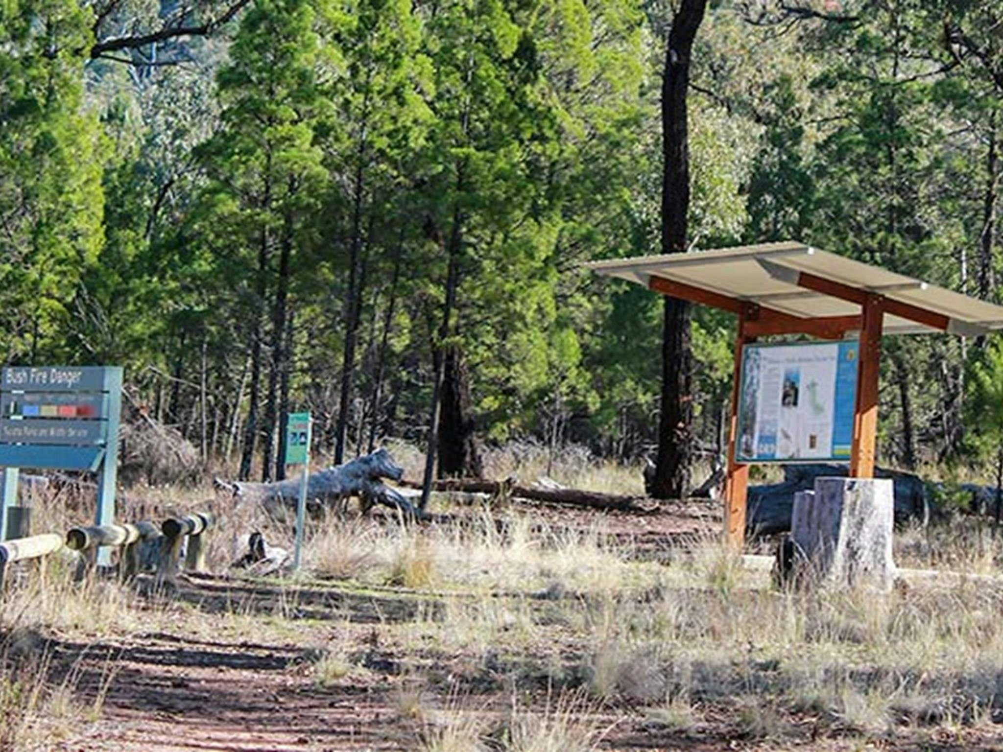 聖營，韋丁山國家公園。照片：C Davis/新南威爾斯州政府