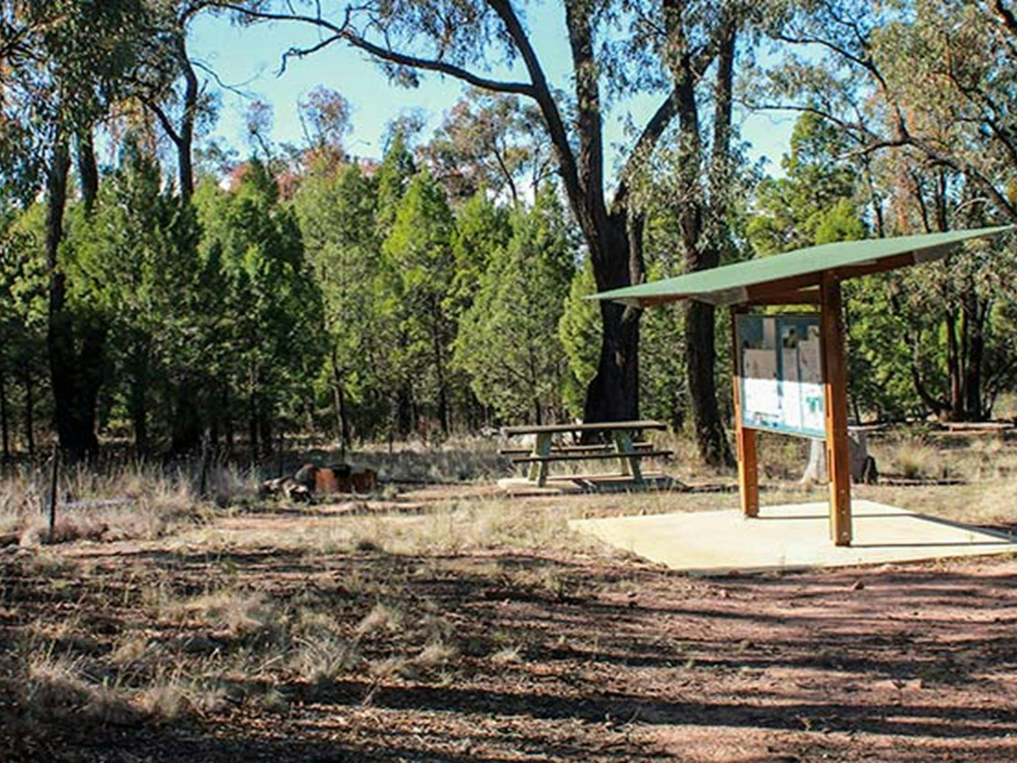 홀리 캠프 웨딘 산맥 국립공원. 사진: C Davis/NSW 정부