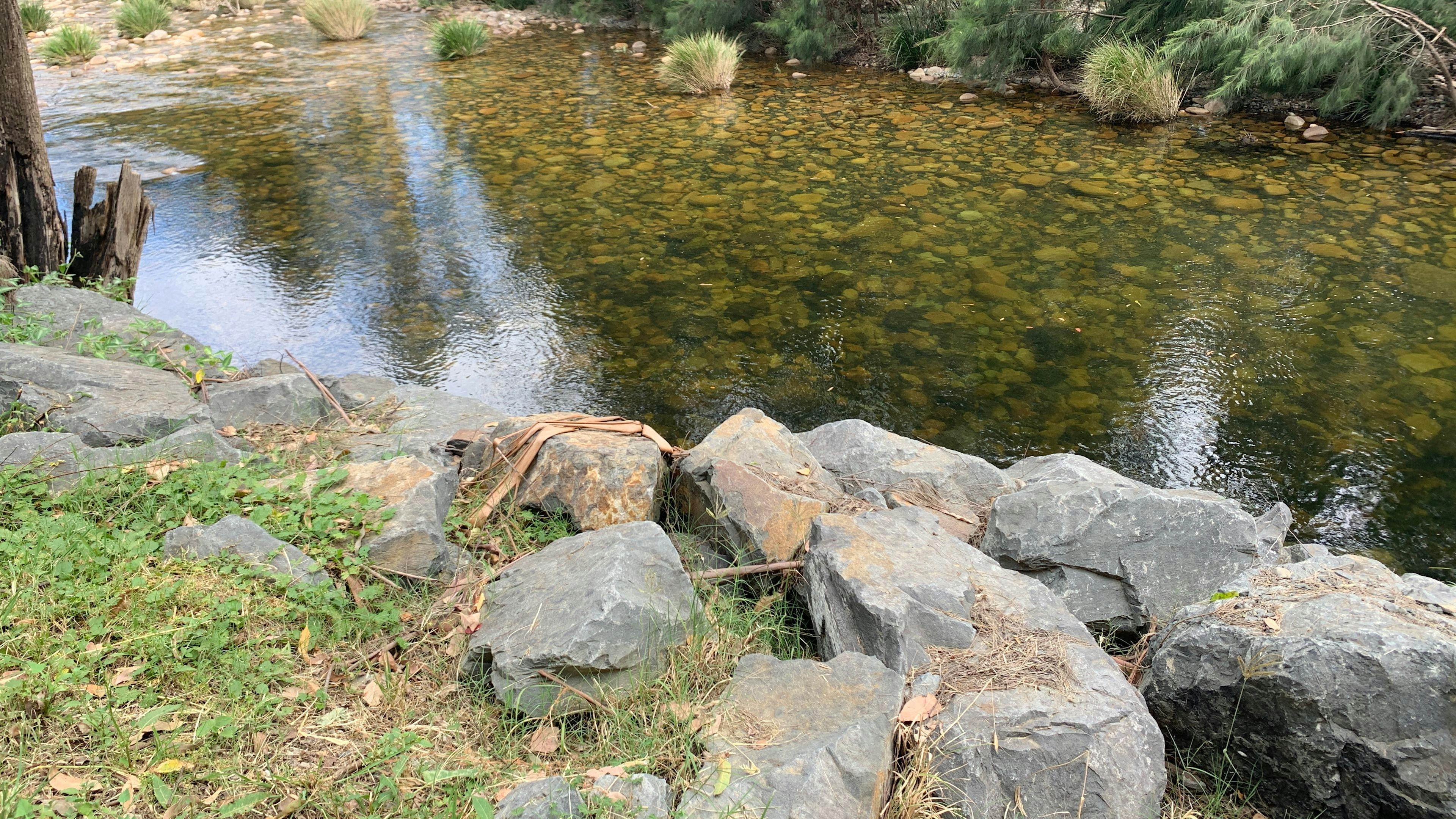 Homegrown Organics Farm