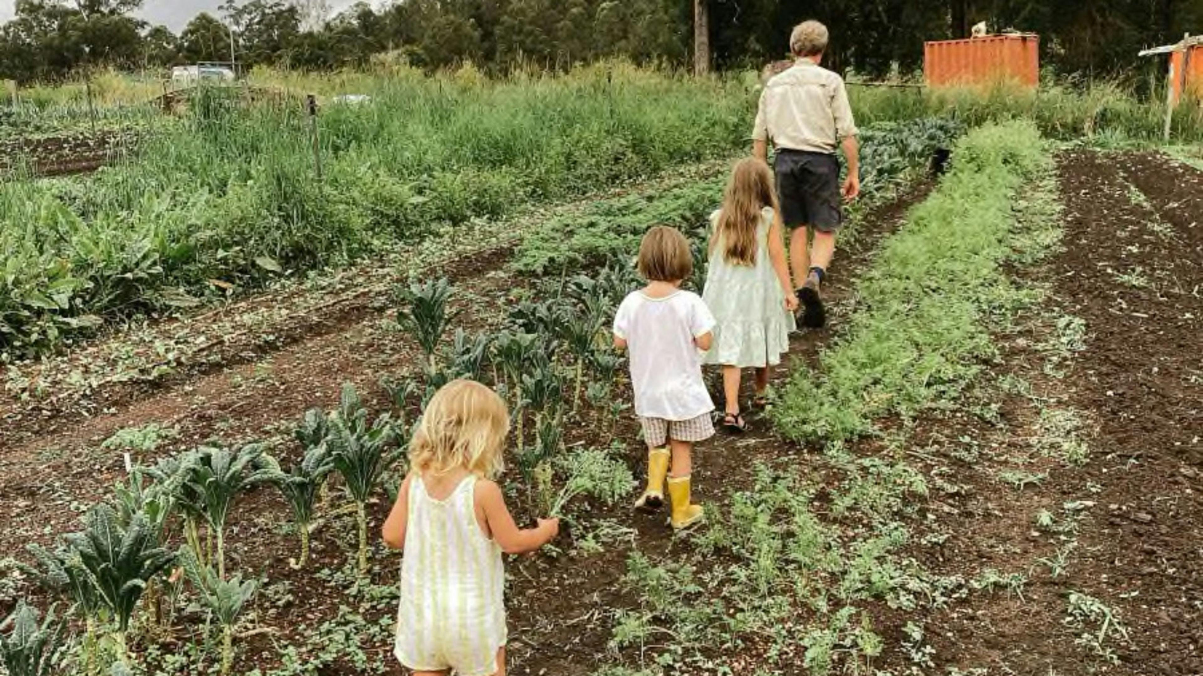 Homegrown Organics Farm