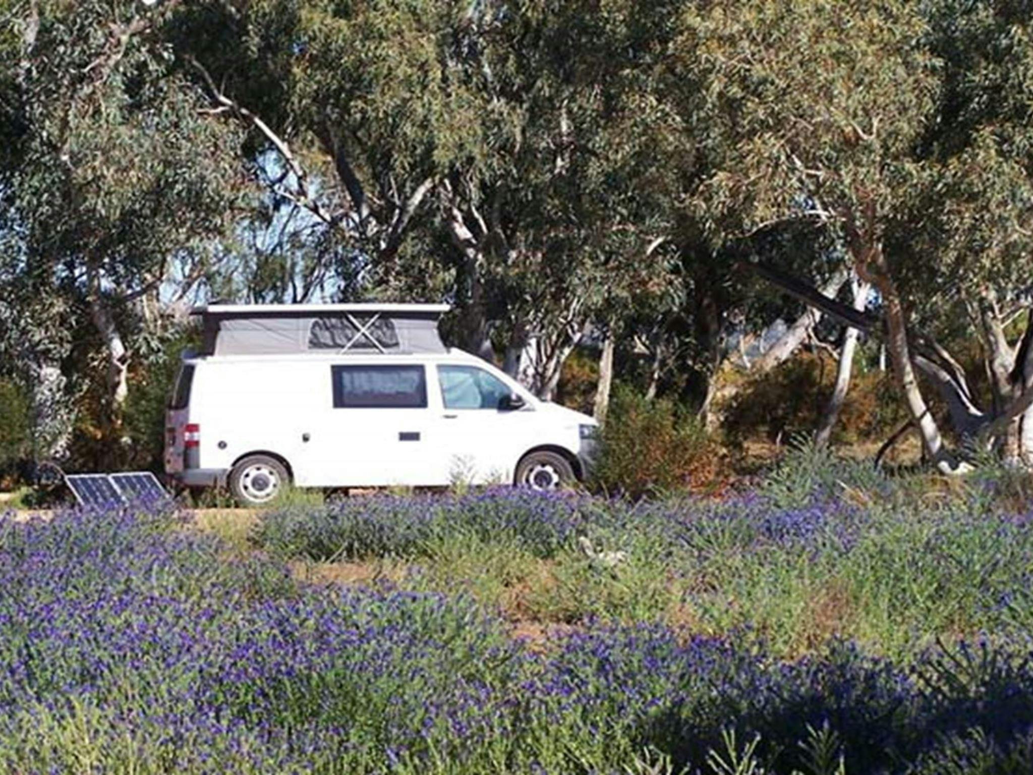 Homestead Creek campground