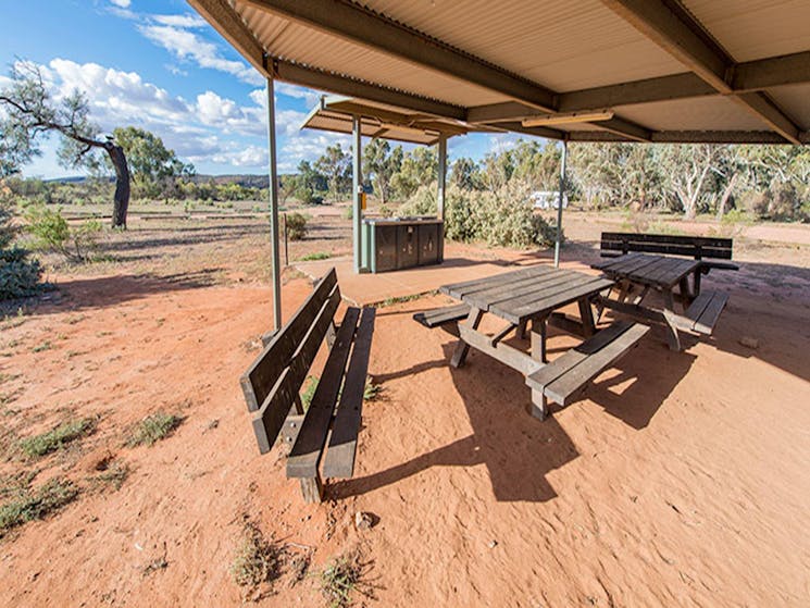 Homestead Creek campground, Mutawintji National Park. Photo: John Spencer