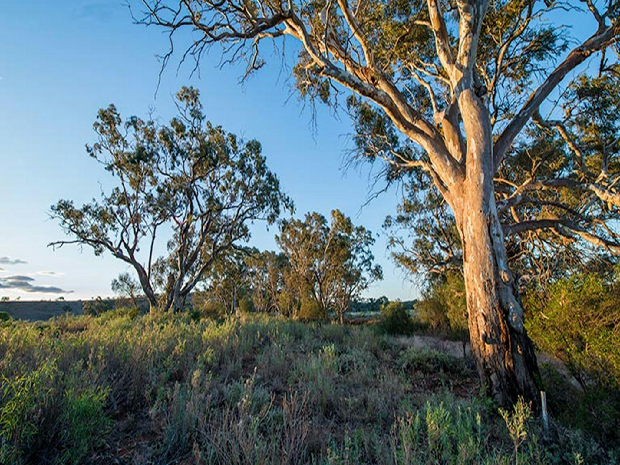 Homestead Creek Picnic Area