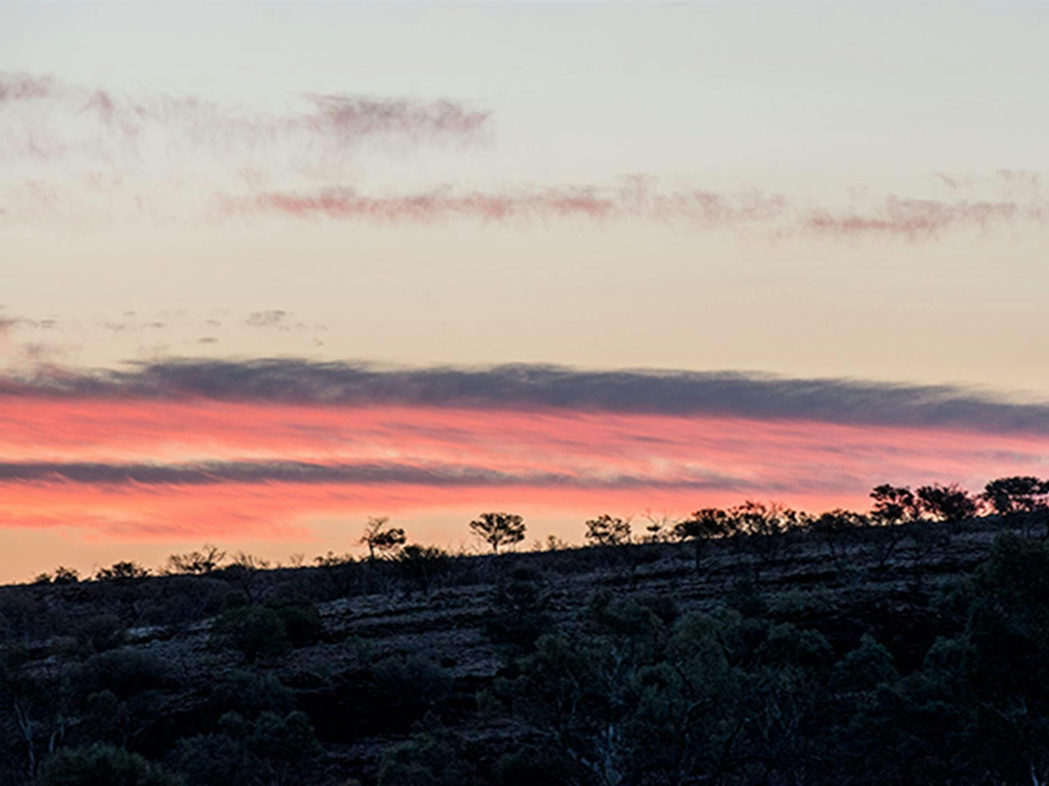 穆塔温吉国家公园家园溪野餐区。照片：约翰·斯宾塞