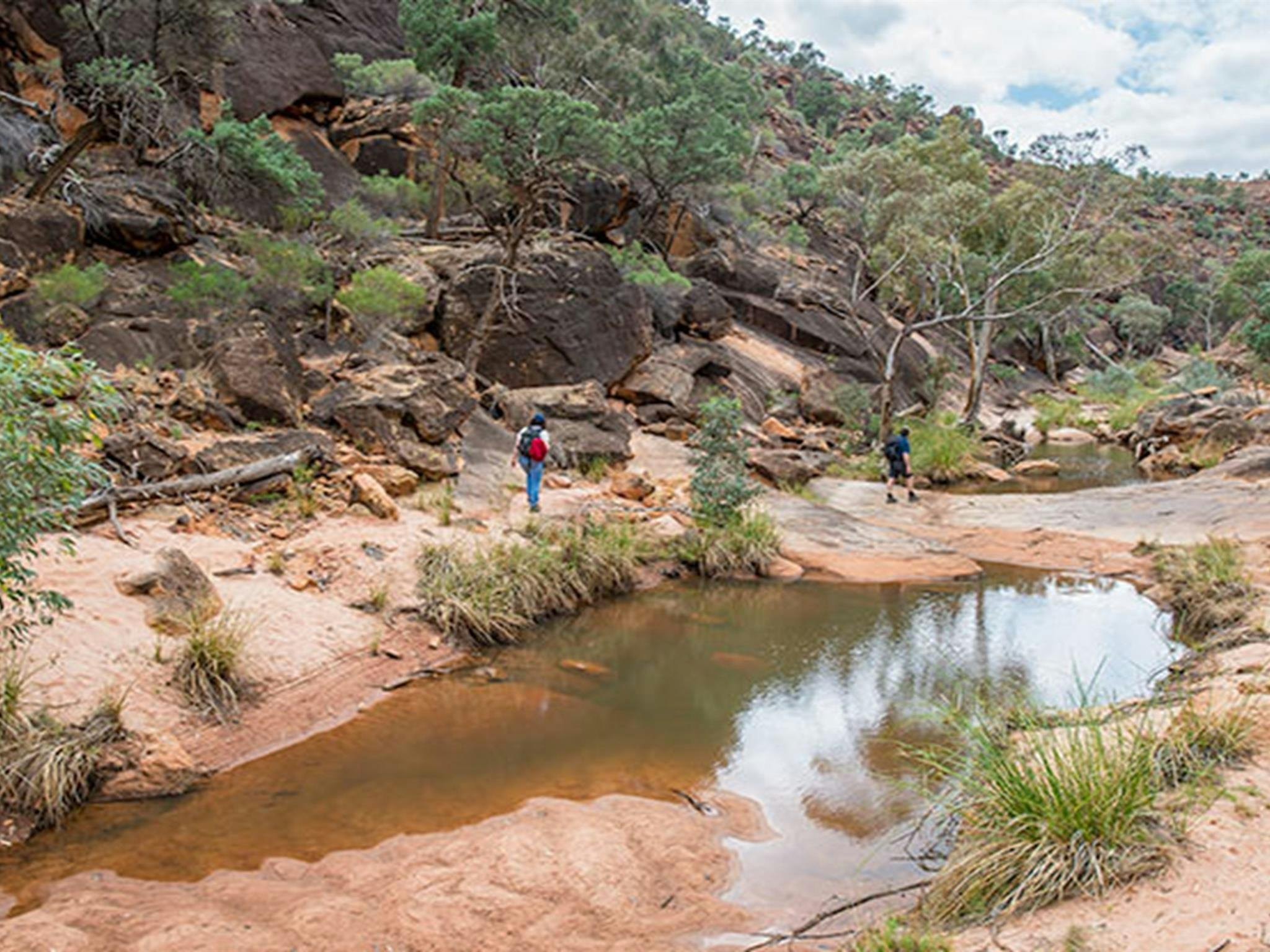 Wanderer entlang von Felslöchern auf dem Homestead Gorge Wanderweg im Mutawintji Nationalpark. Foto: