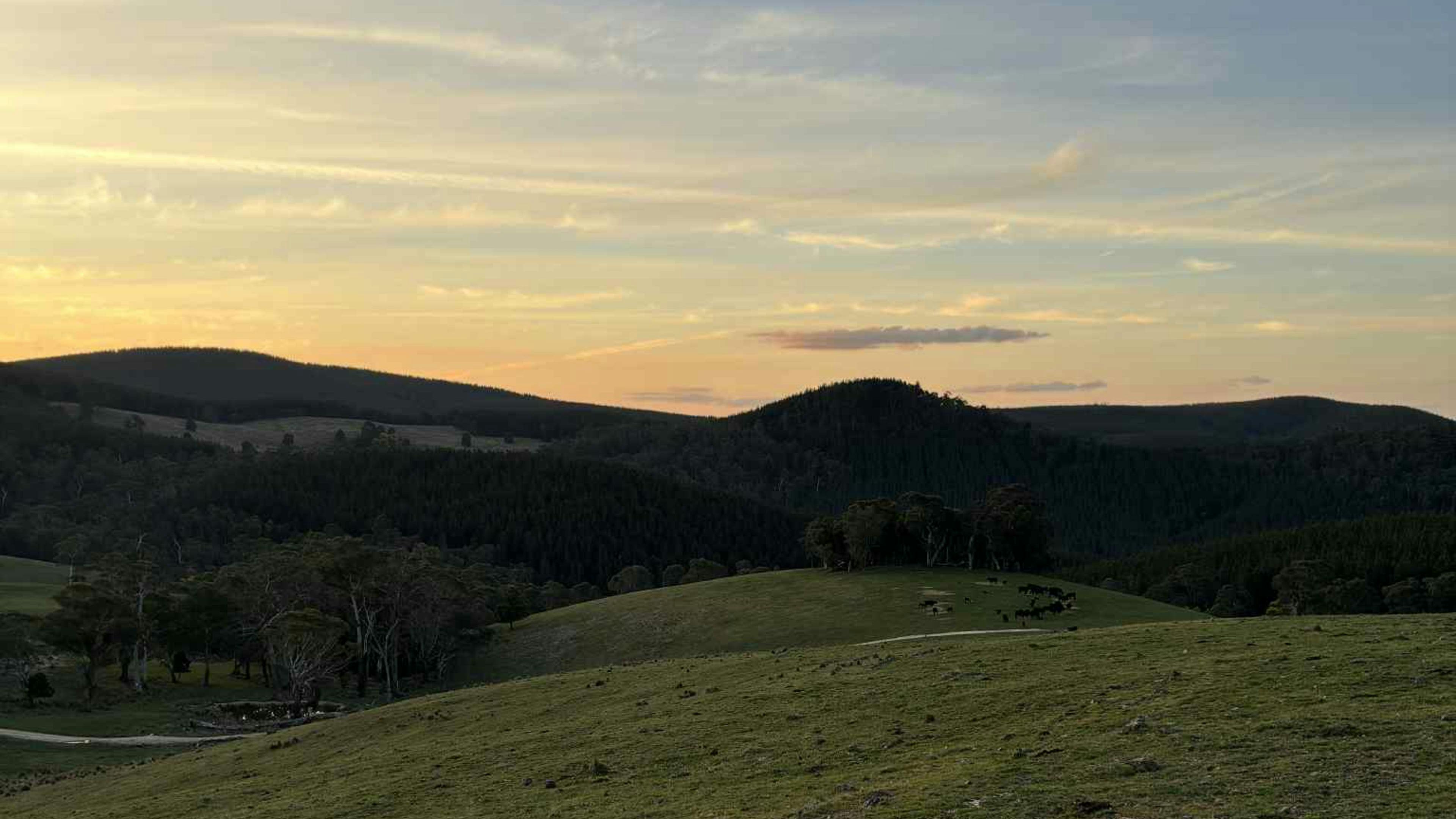 Honeysuckle Group Camping