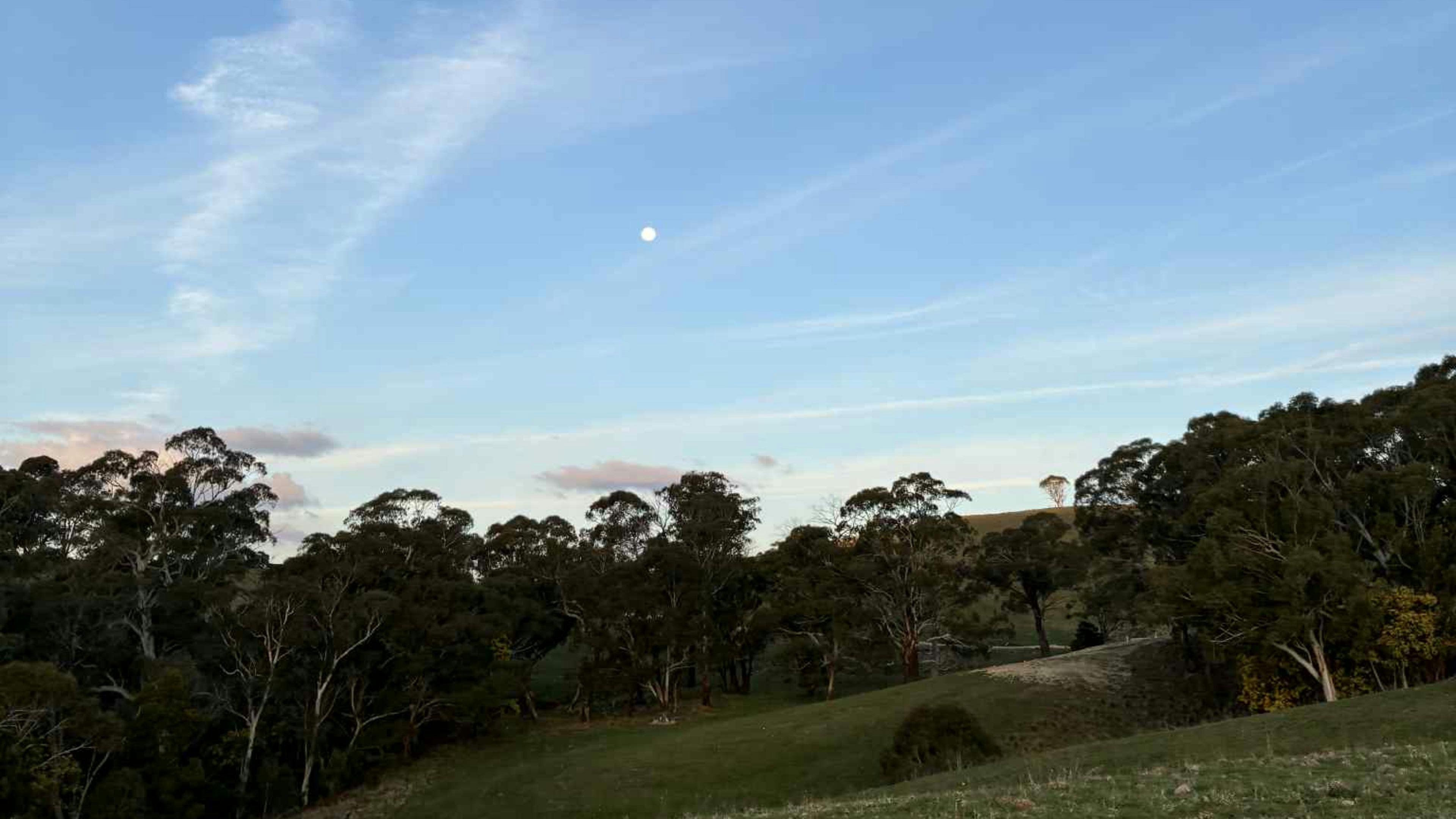 Honeysuckle Group Camping