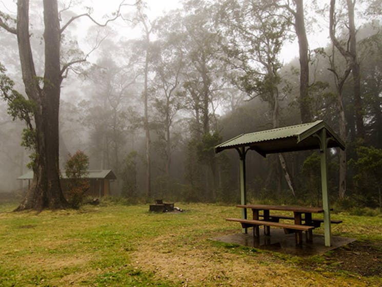 Picnic tables surrounded by trees under the cover of mist in Honeysuckle picnic area, Barrington