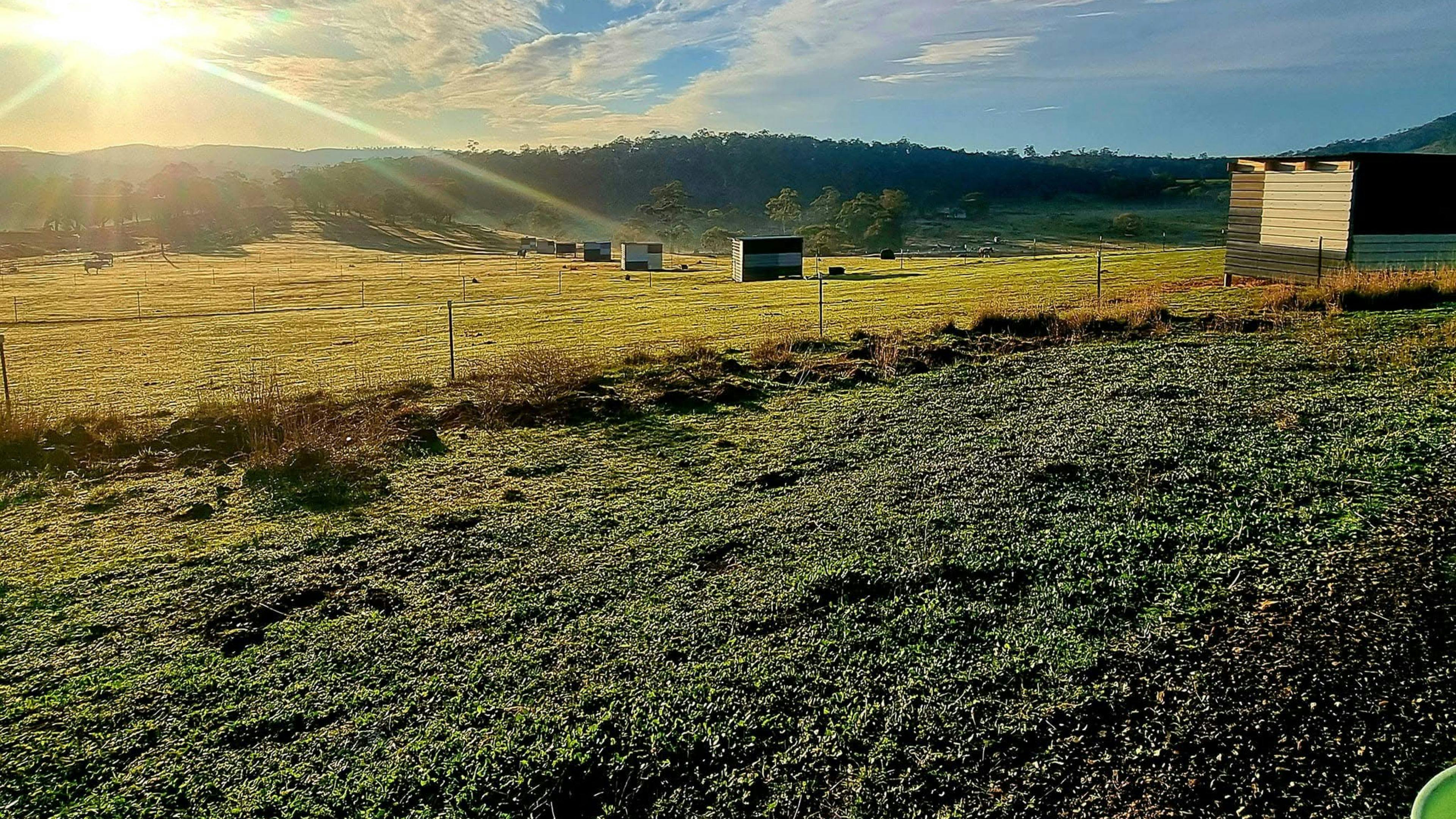 Honeywood Valley Farms