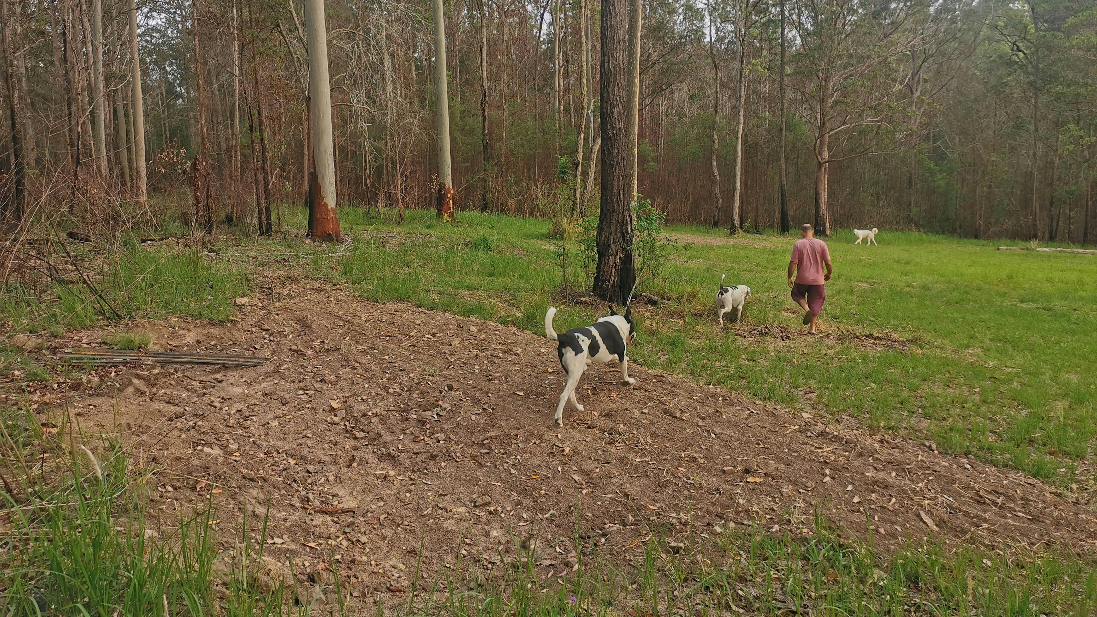 후디드 스피릿 캠프장