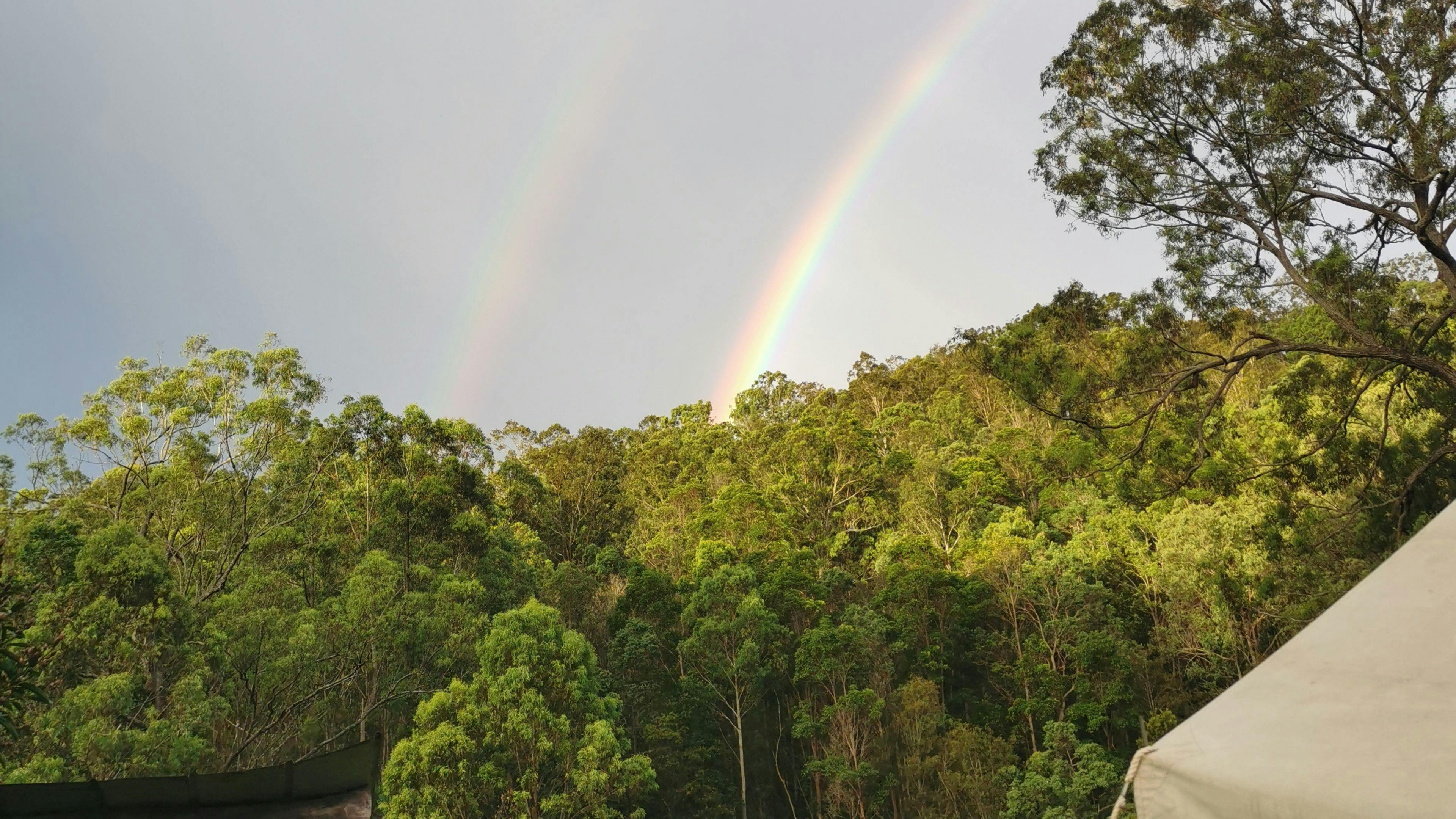 Hooded Spirit Campground