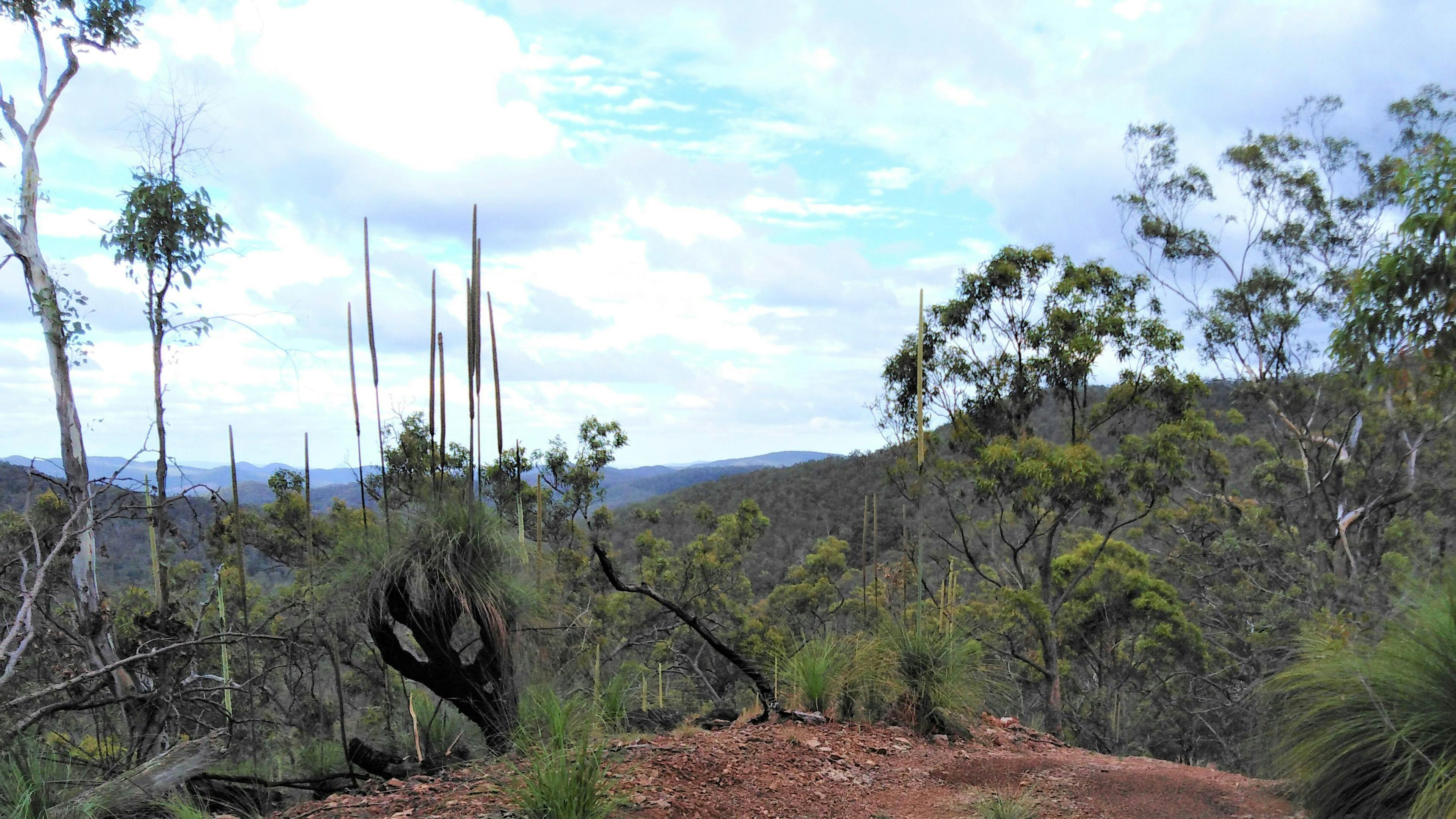 Hope Valley