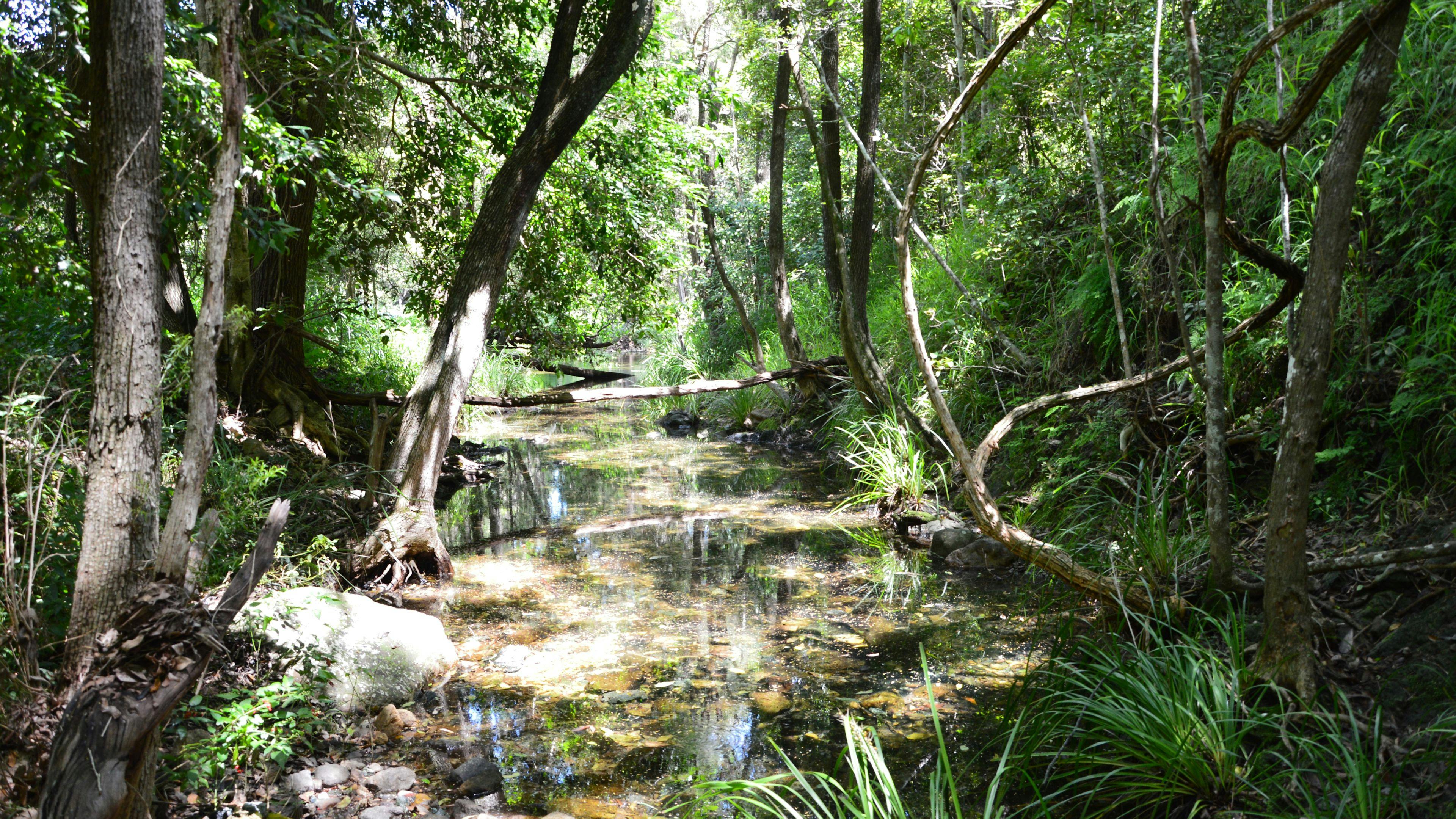 Hopevale Adventure Camping