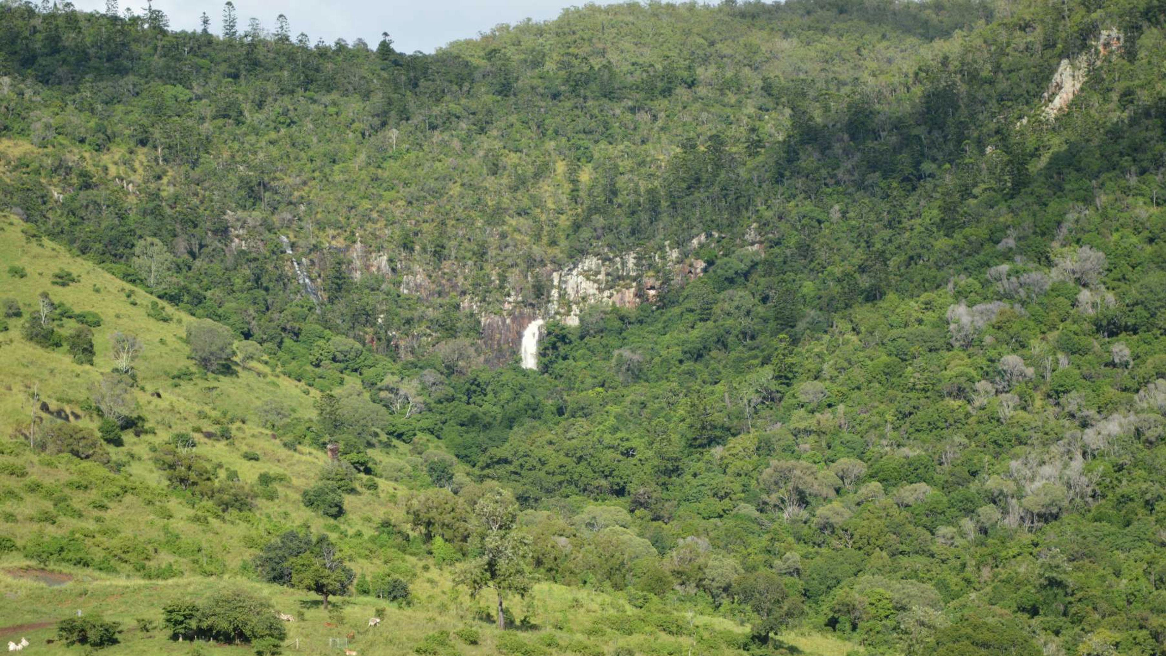 Hopevale Adventure Camping