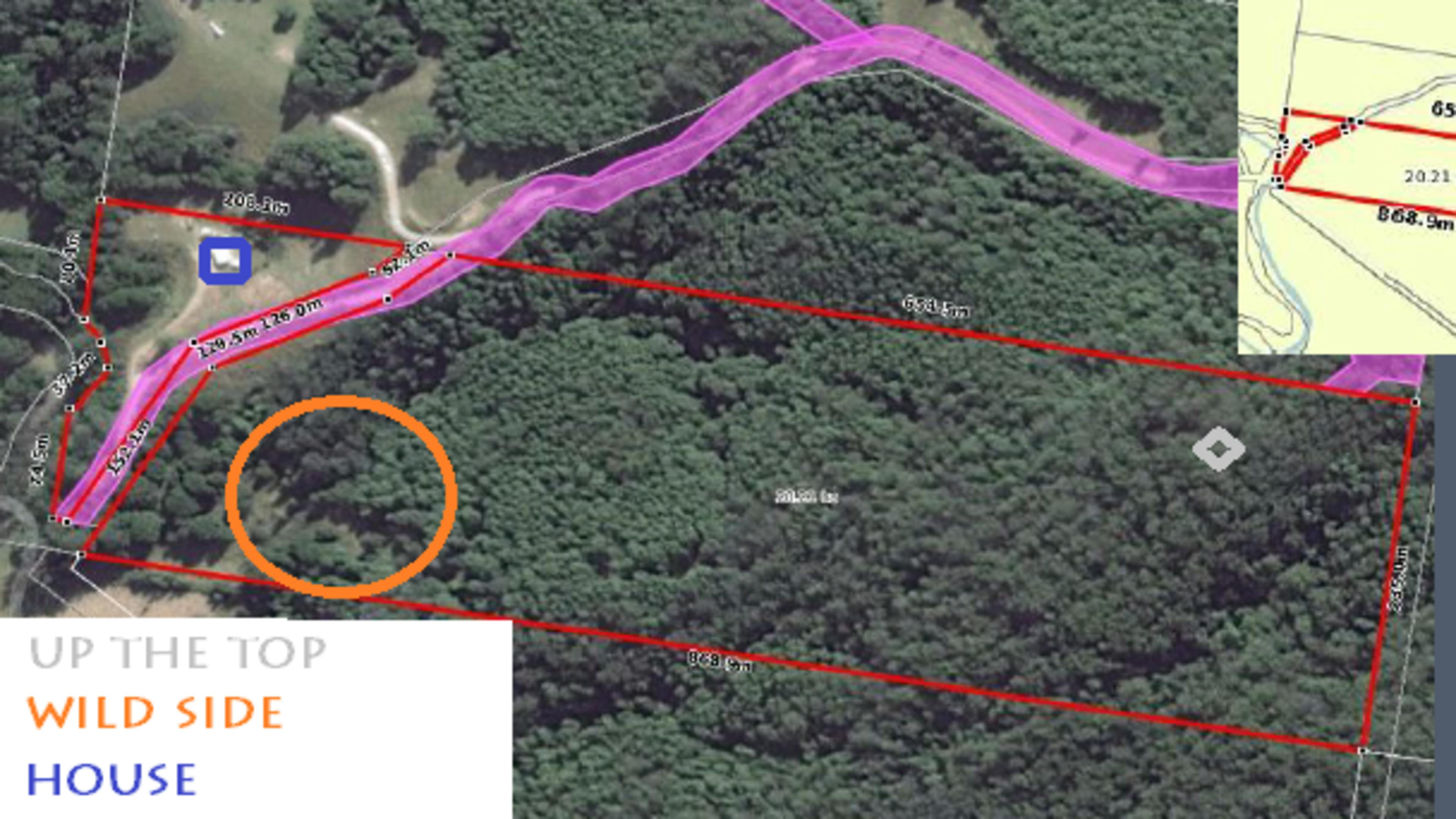 호핑 딕의 은신처