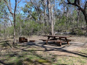 Picnic tables at Horton Falls campground and picnic area, Horton Falls National Park. Photo: Peter