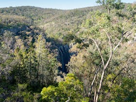 View of Horton Falls through trees with hills in the distance in Horton Falls National Park. Photo: