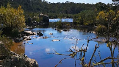Bombay Bush Cabin and Camping