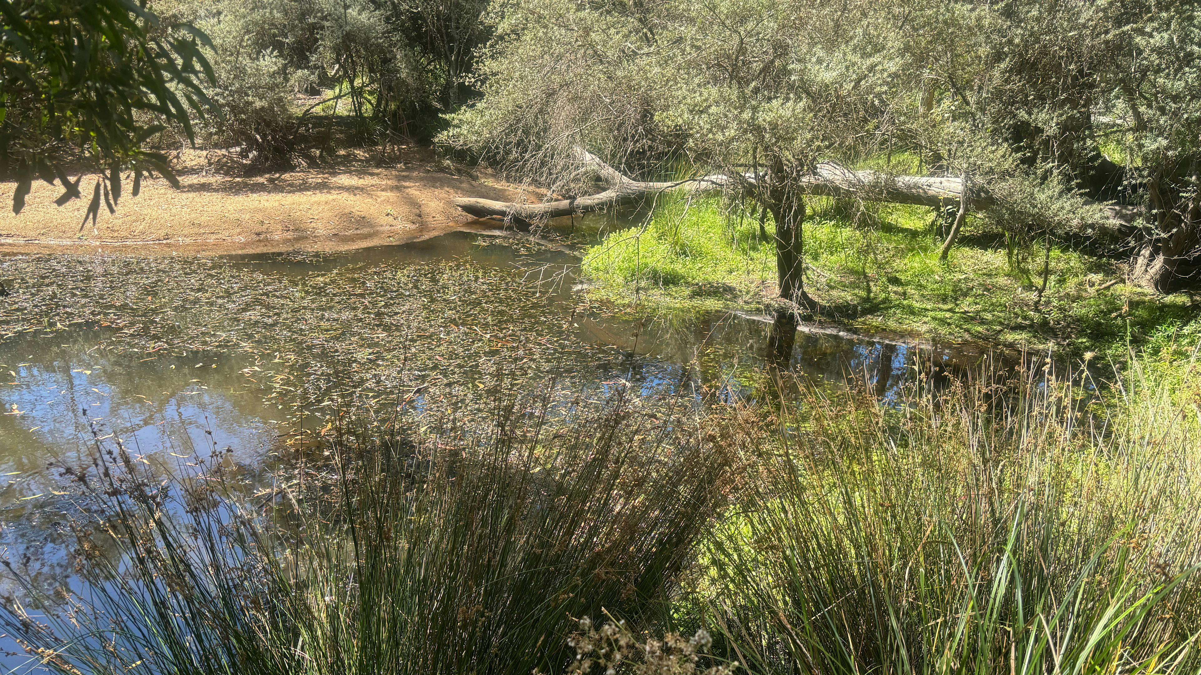 Brown Mountain Serenity