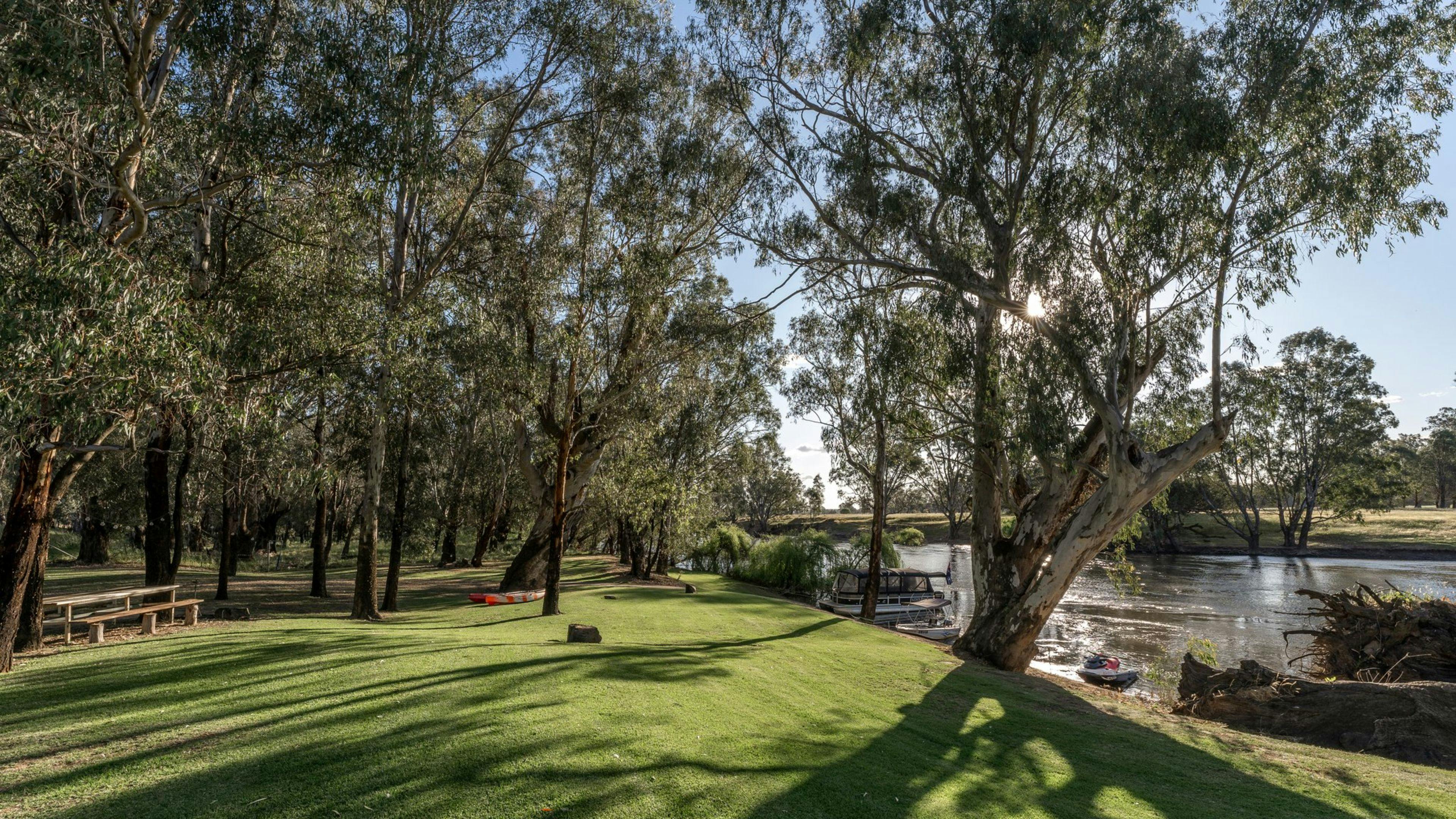 Palm Cove On The Murrumbidgee