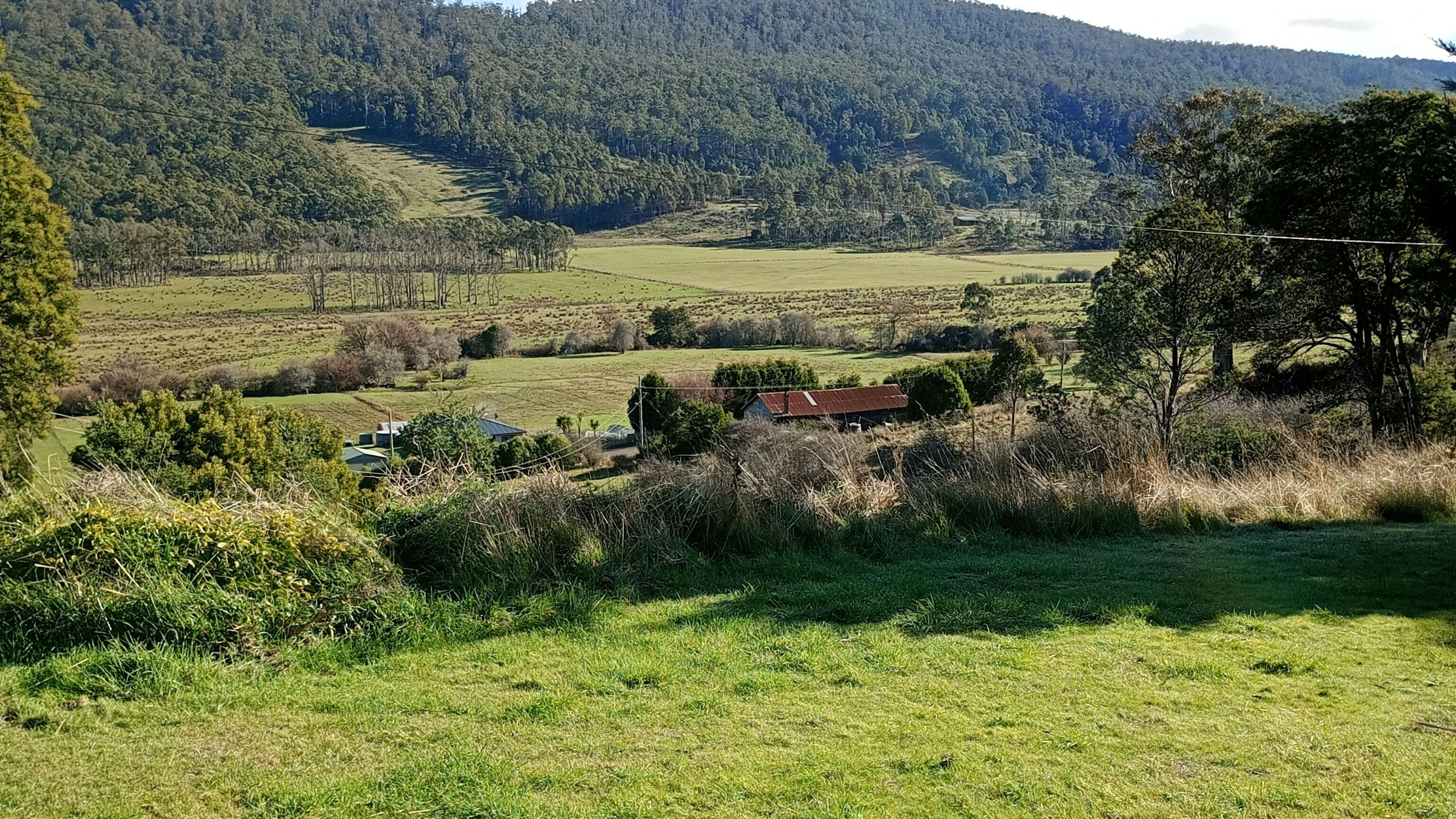 On The Hill in Patersonia campground