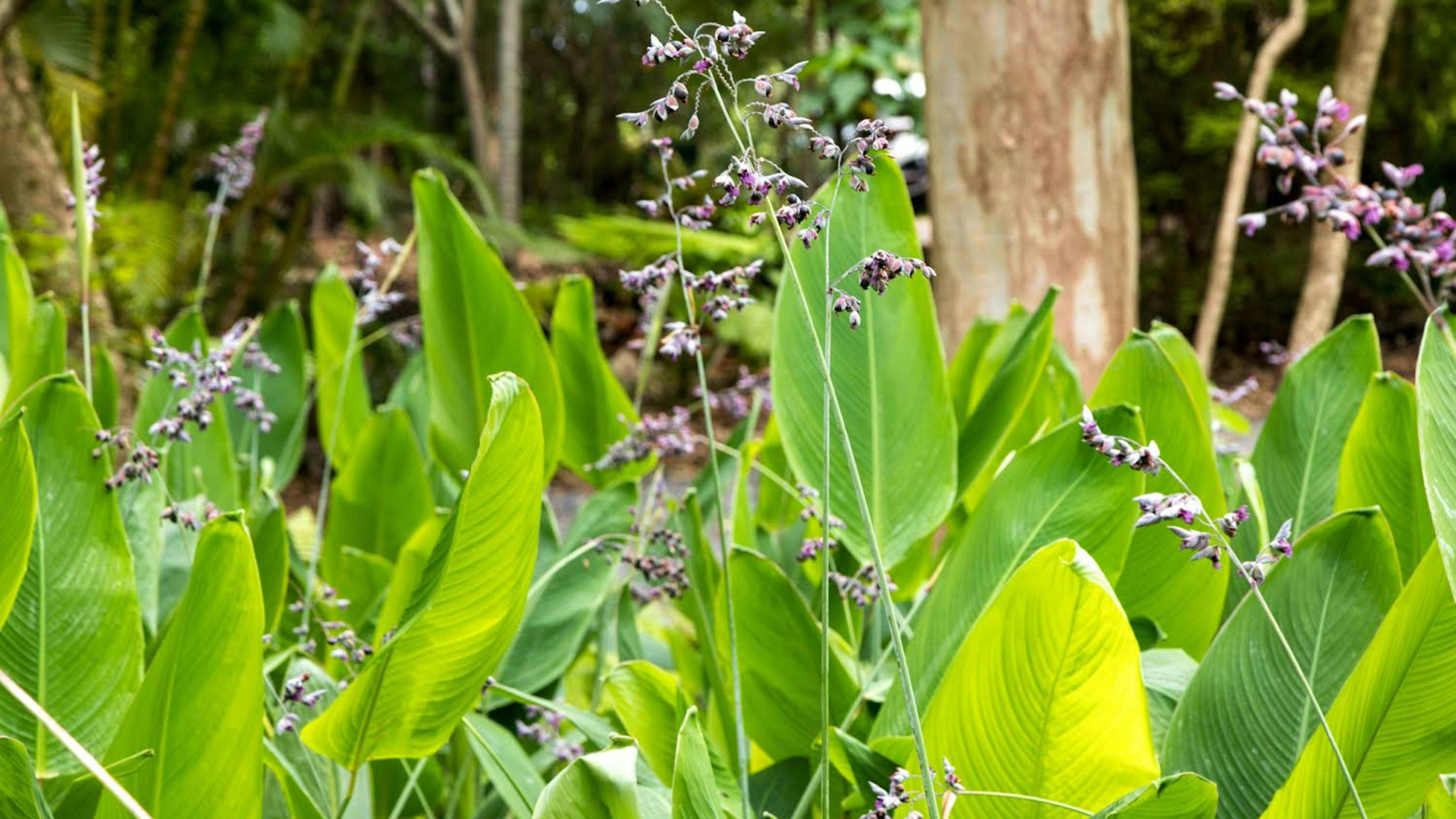 Hunchy Hideaway Caravan Site