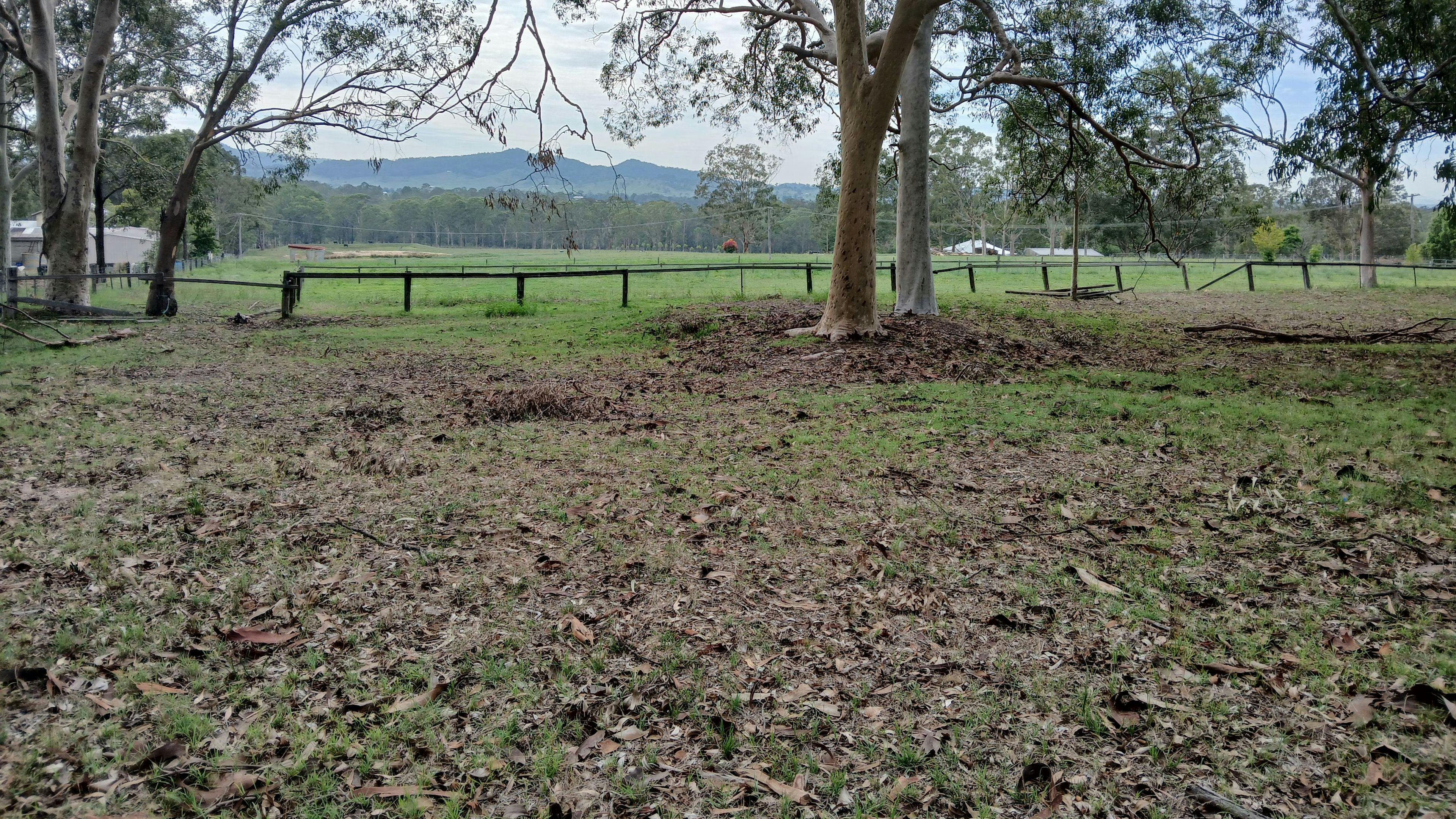 Hunter Valley Homestead