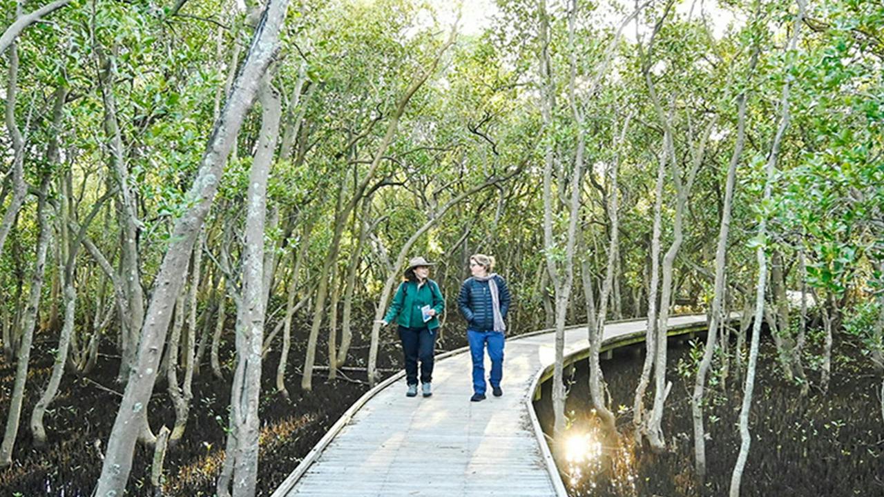 Hunter Wetlands National Park