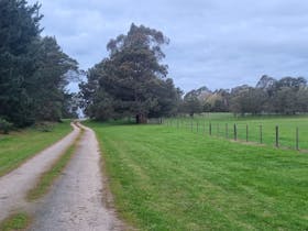 The laneway to the property