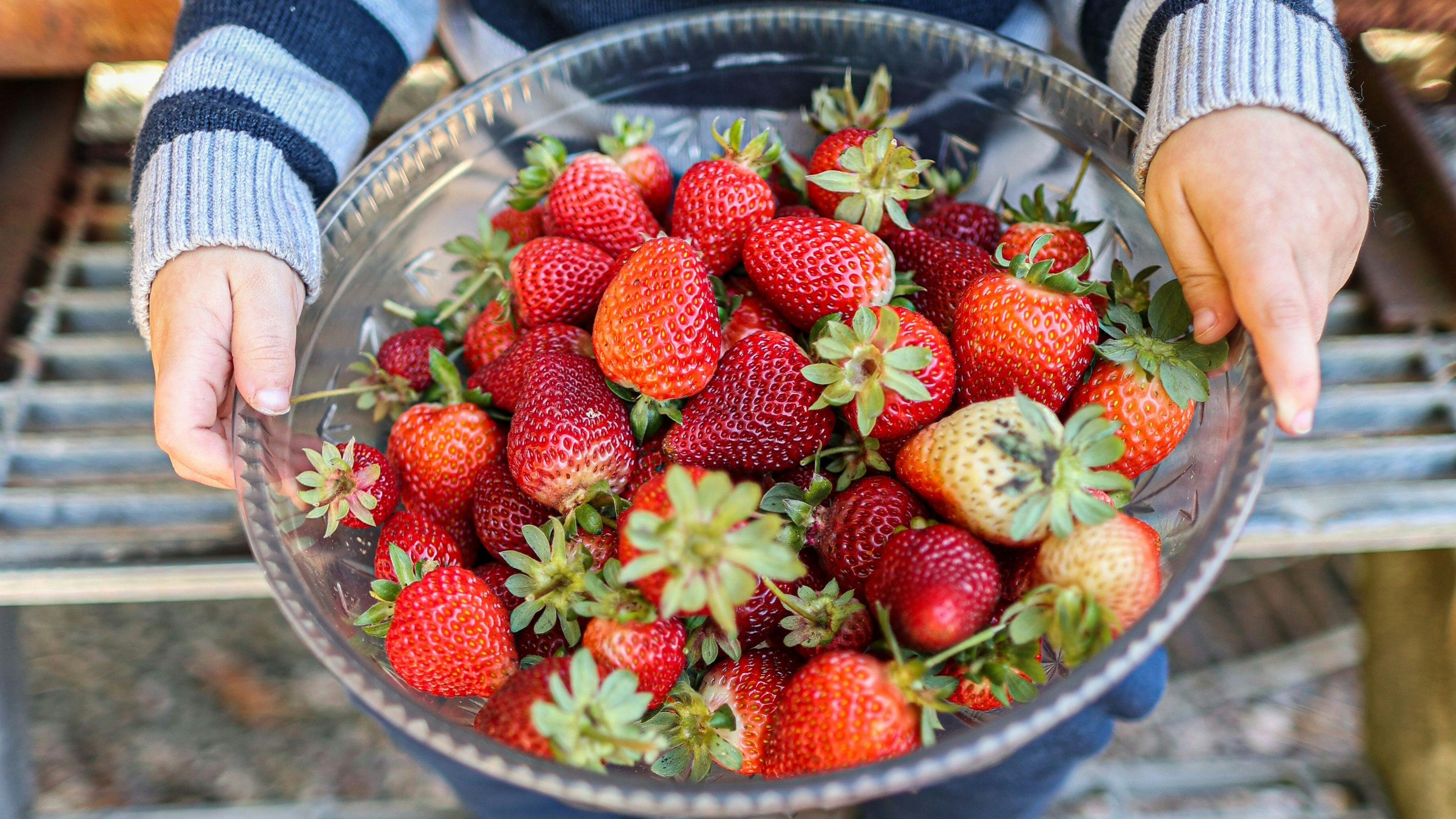 Longford Berries Hobart and Beyond