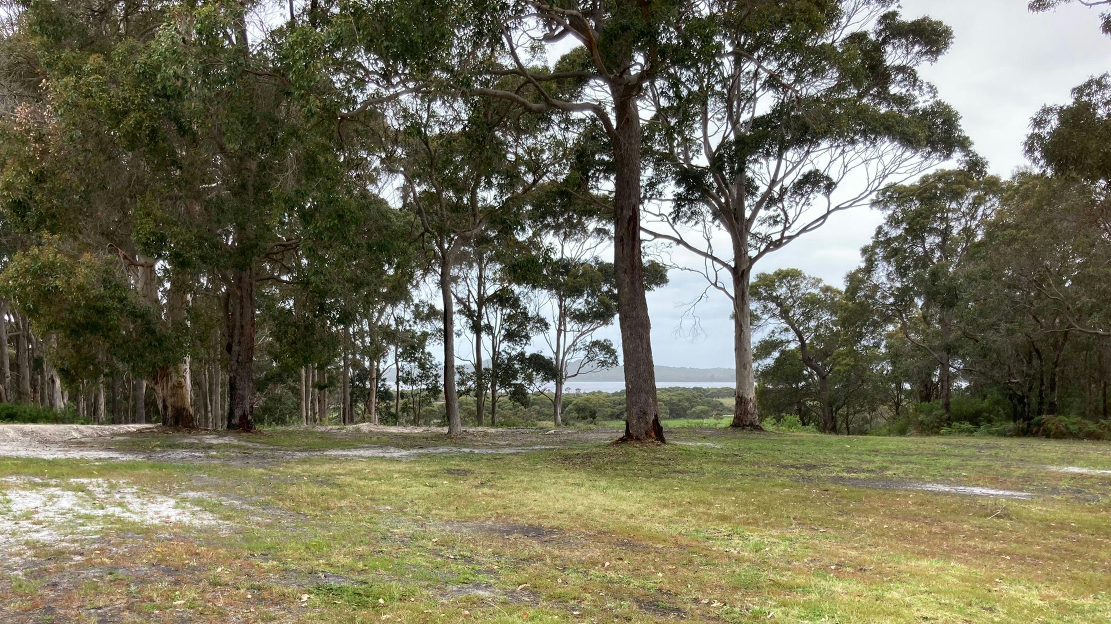 Irwin Inlet Views