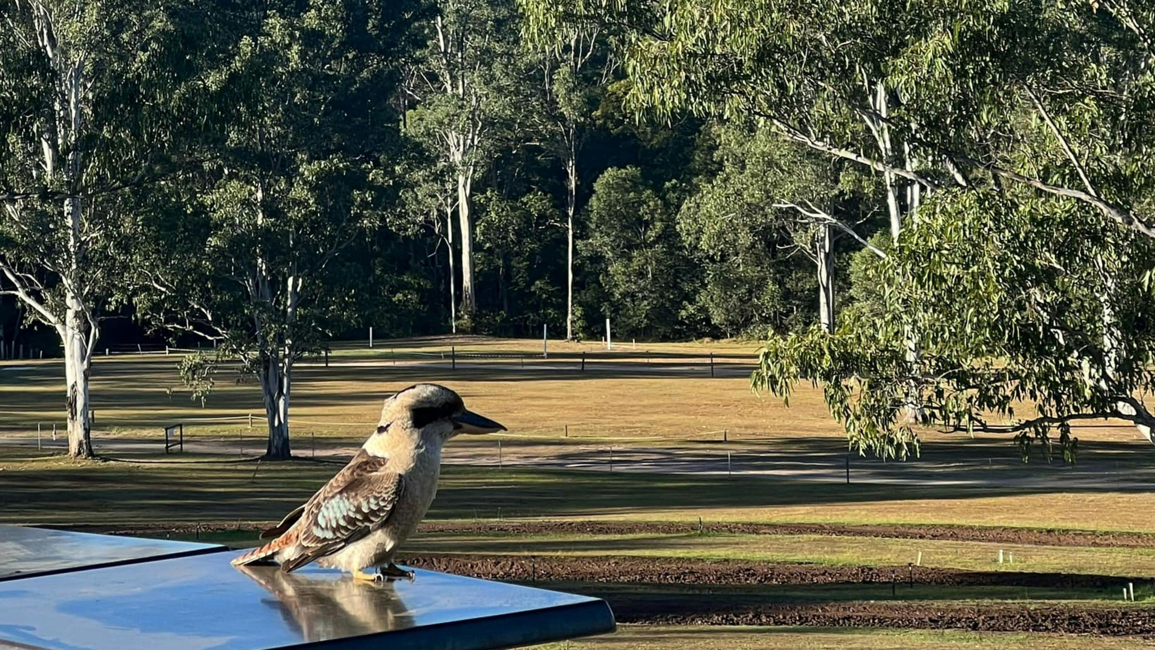 MXFarm QLD