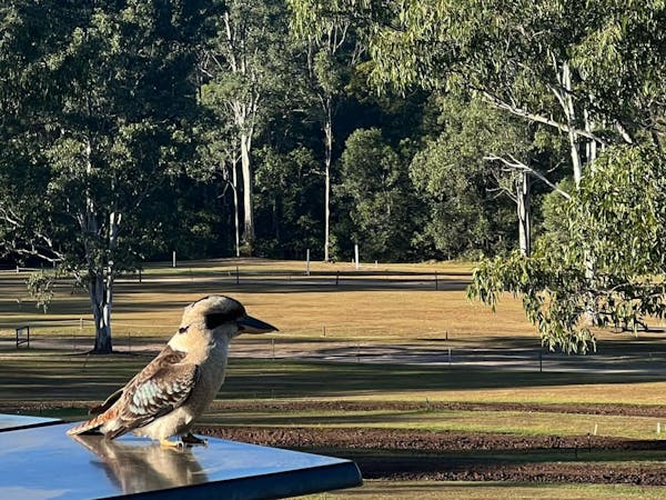 MXFarm QLD