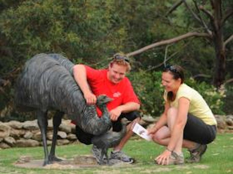 Thredbo Walks