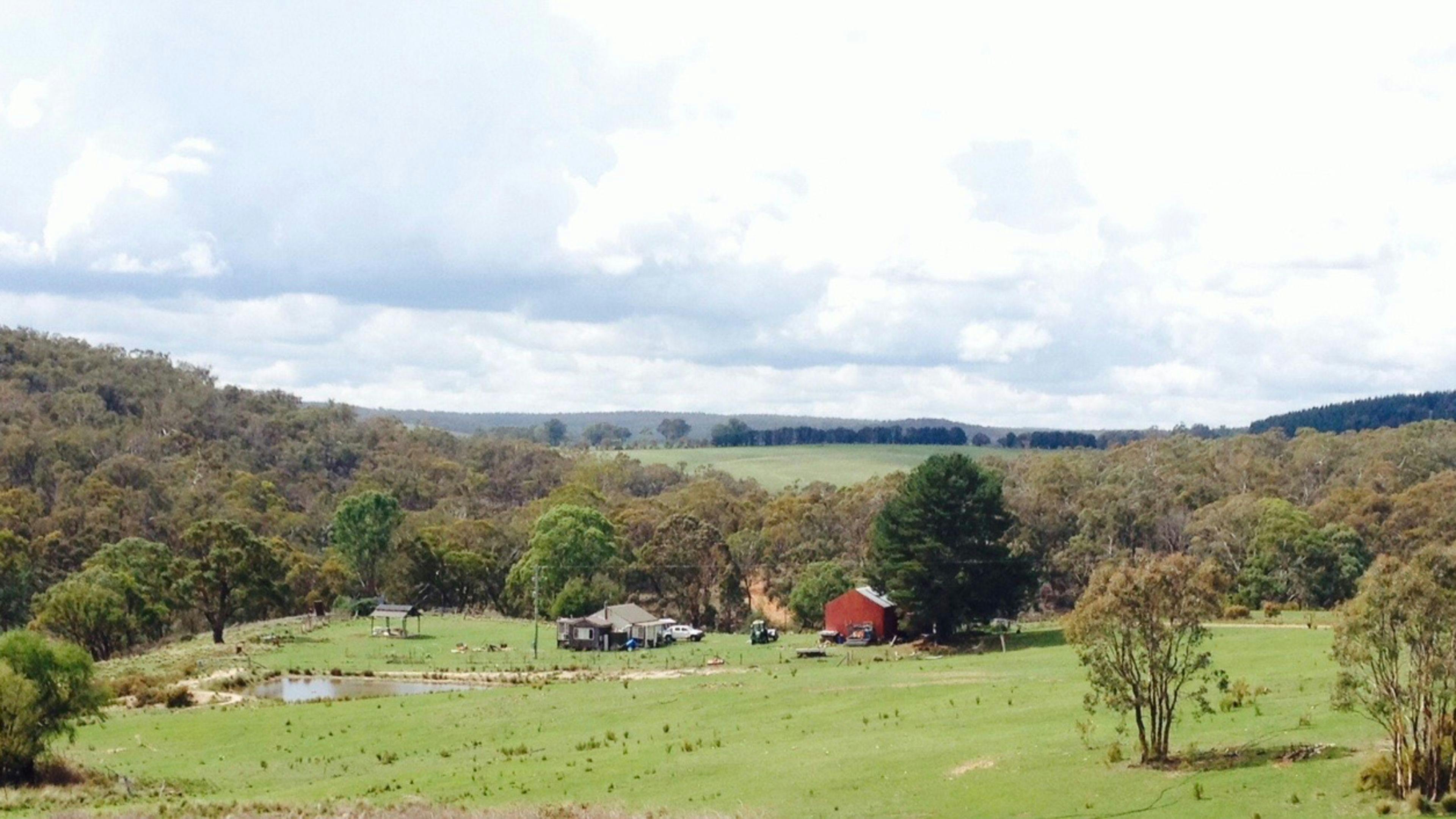 ローズマリーグローブ