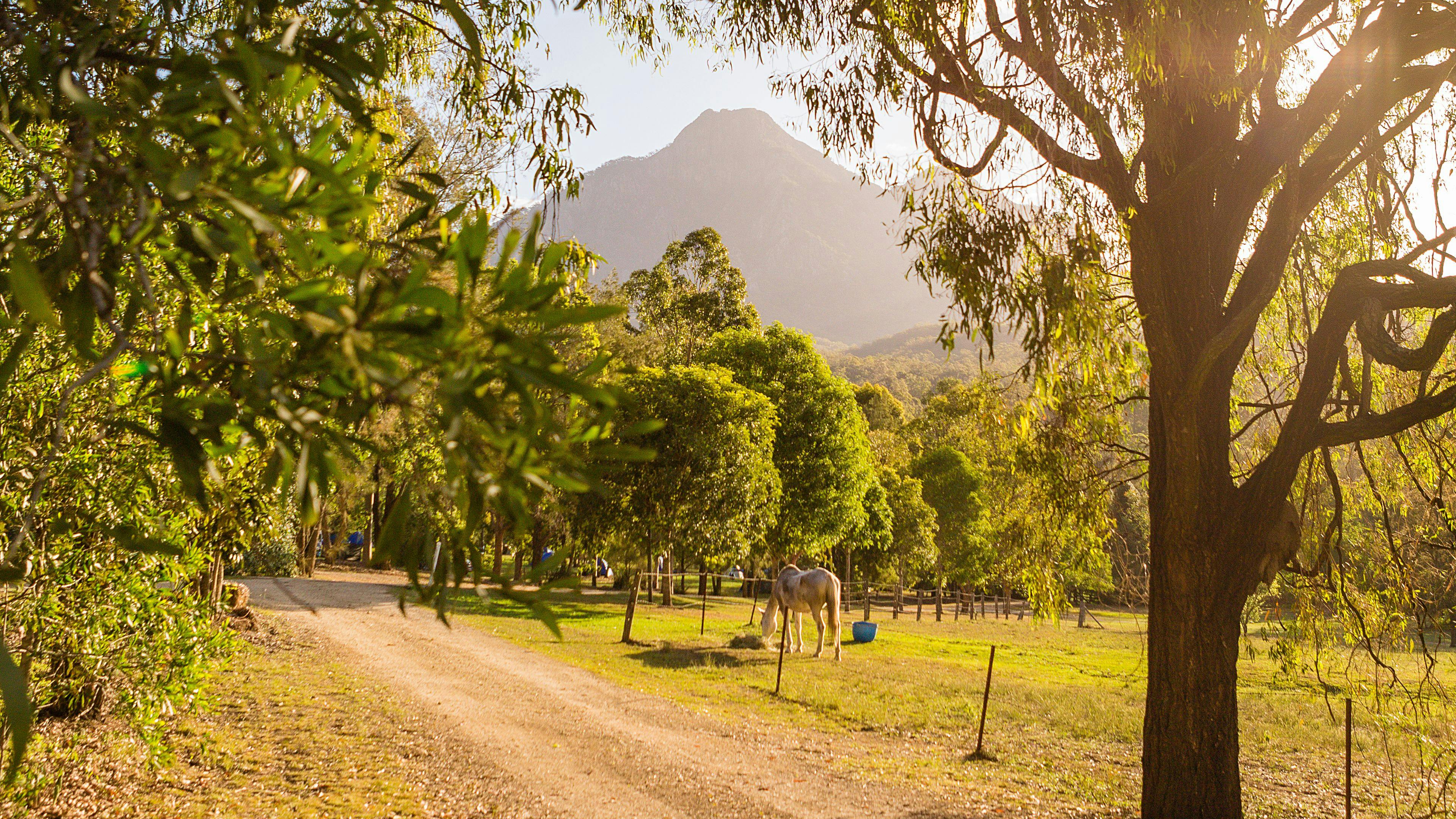 Mt Barney Lodge Eco Retreat