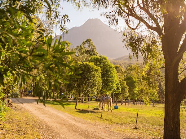 Mt Barney Lodge Eco Retreat Mt Barney Lodge Eco Retreat
