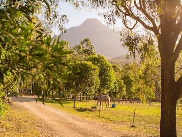 Mt Barney Lodge Eco Retreat