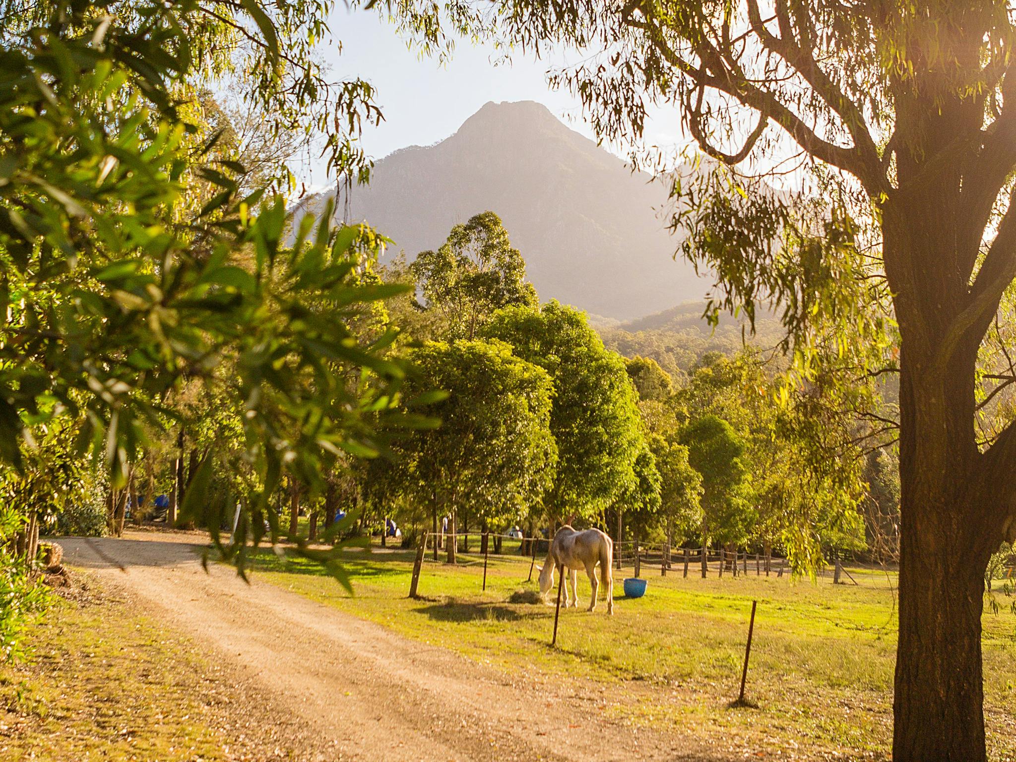 Mt Barney Lodge Eco Retreat Mt Barney Lodge Eco Retreat