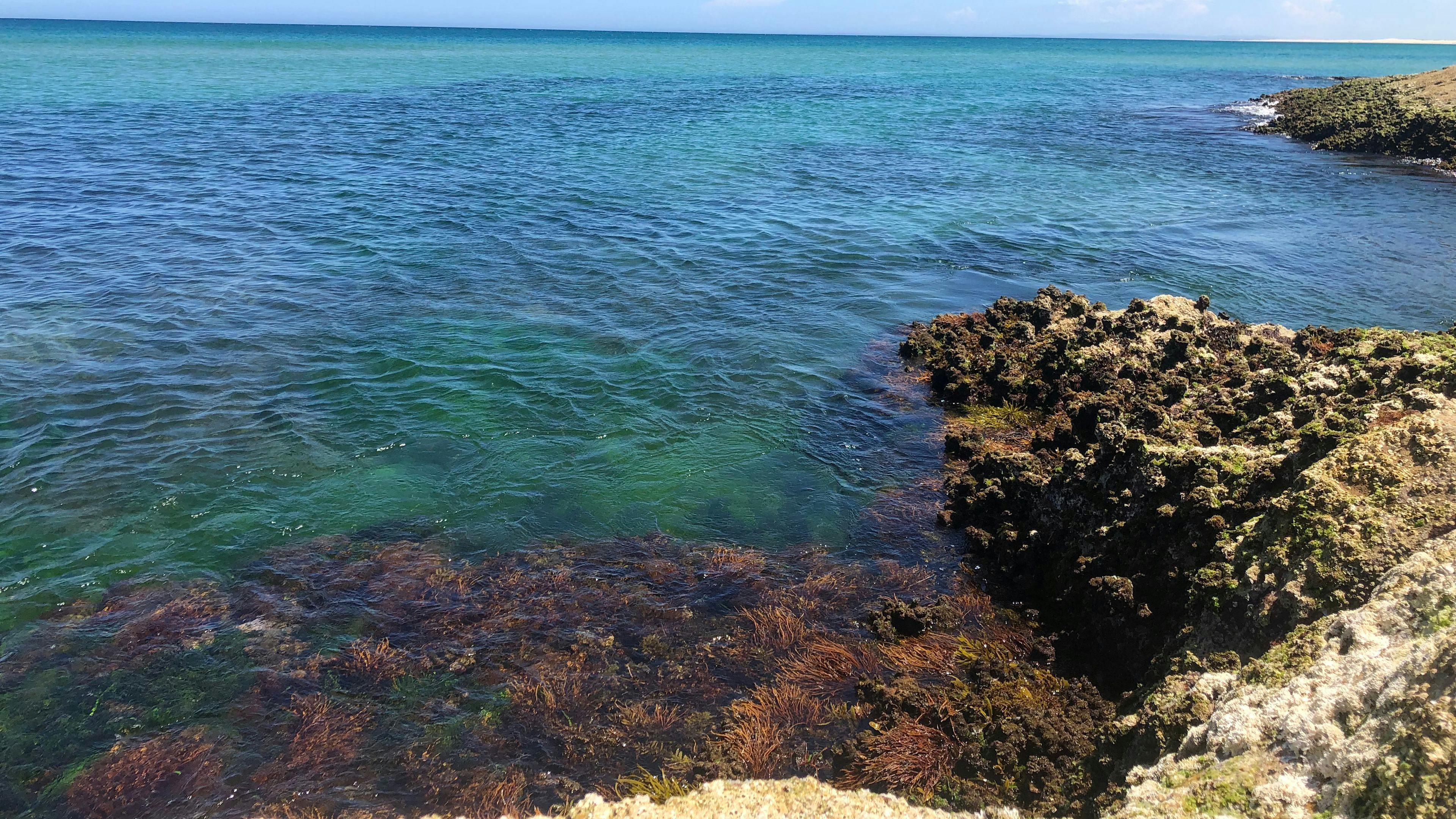 Iggys Haven @ Anna Bay