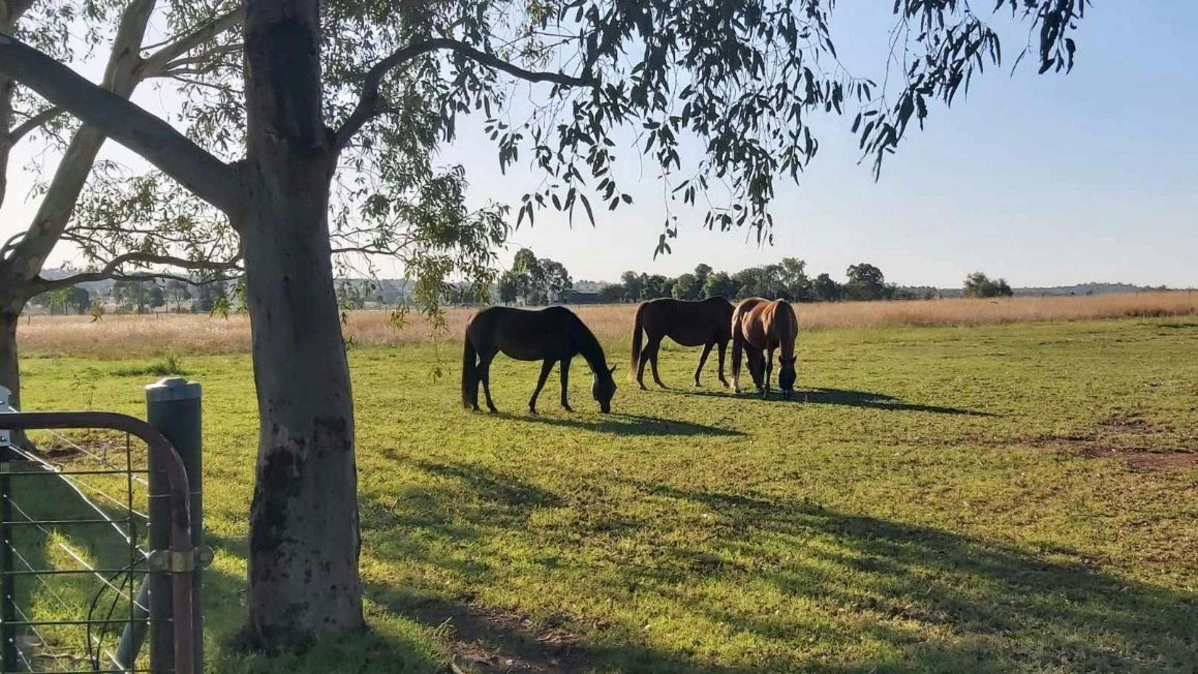 Calm Your Farm Country Stays