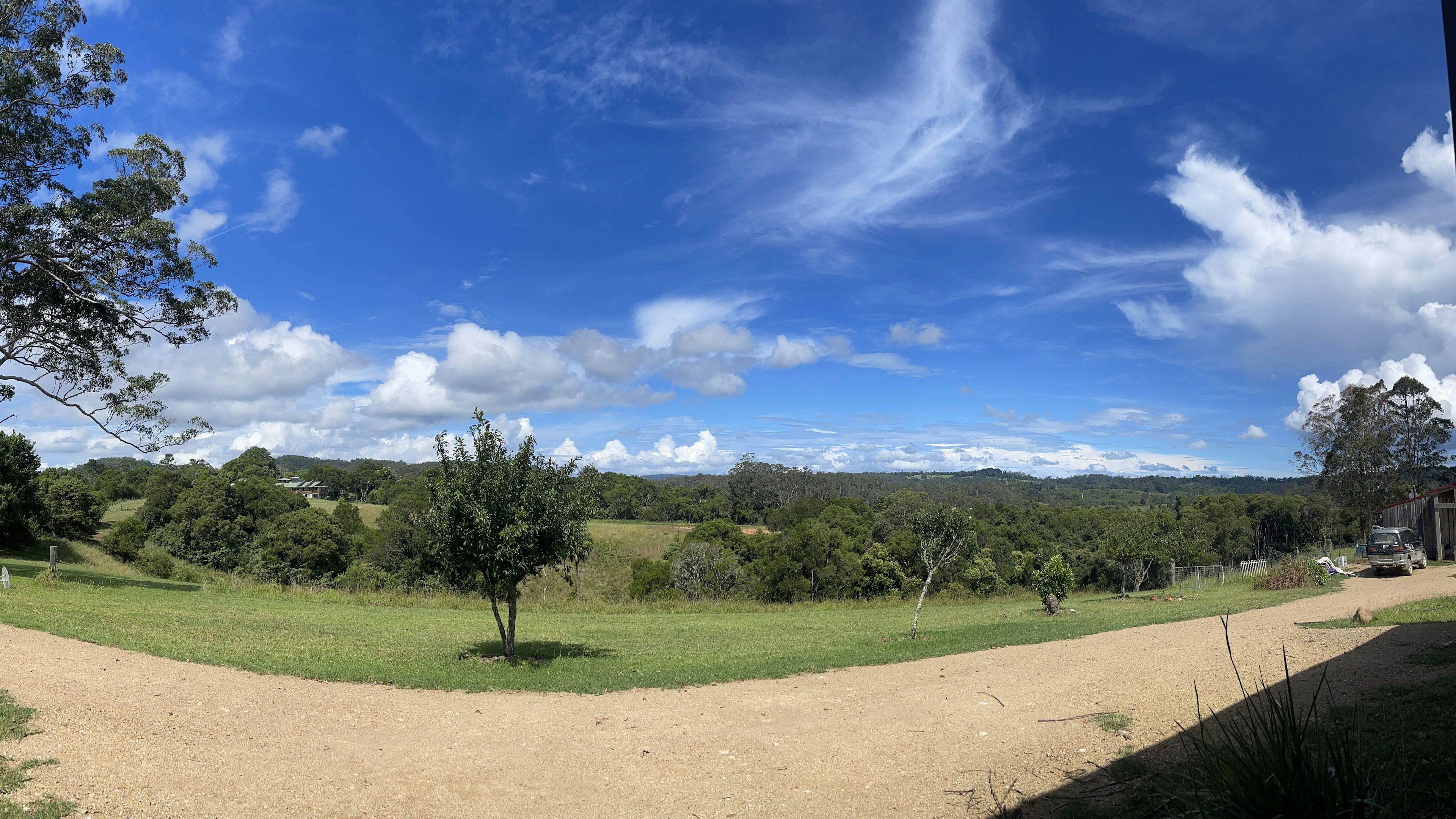 Our driveway and view across the property, these photos were taken in summer after rain and sun so green, landscape change depending on weather 