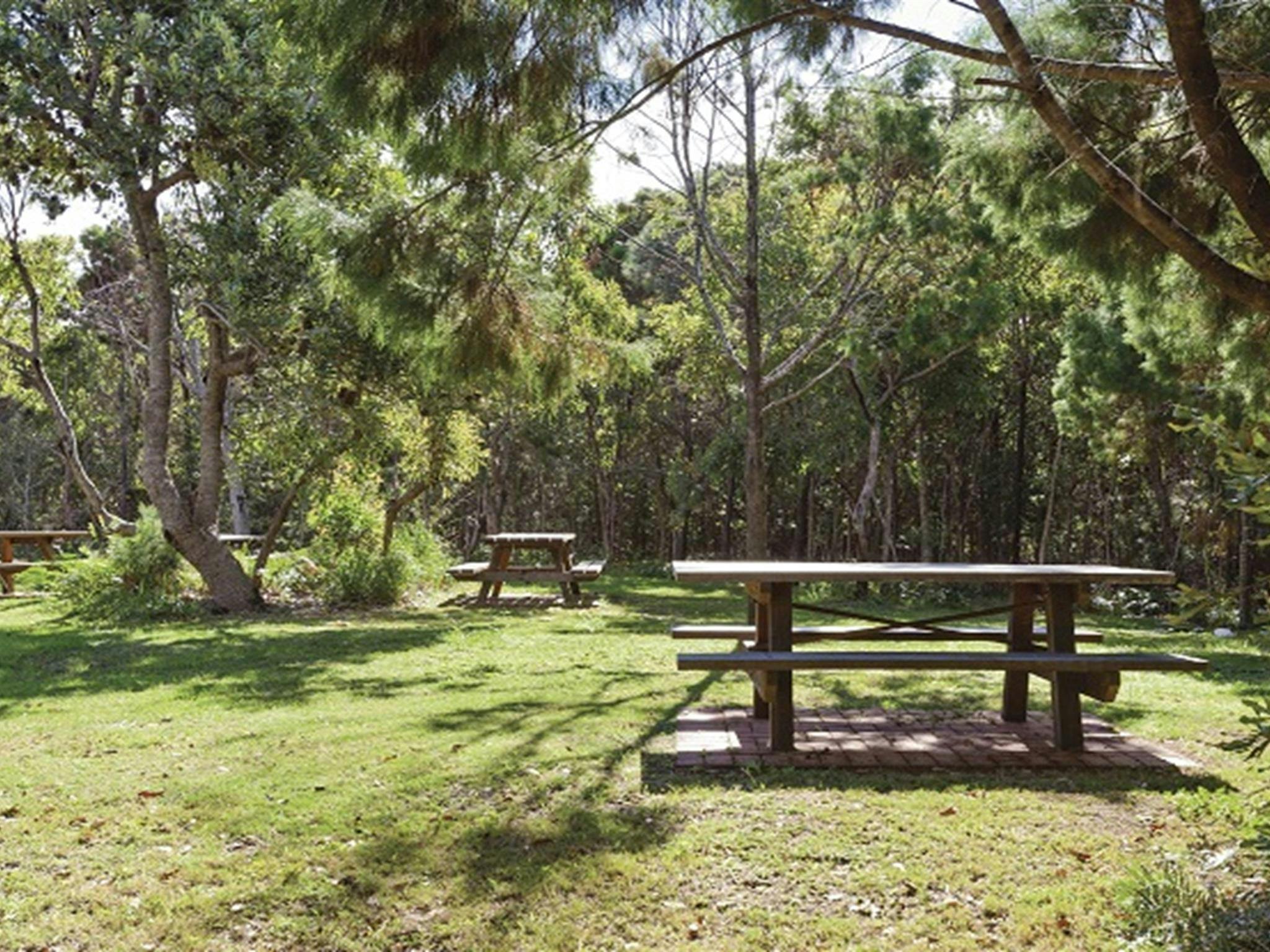 Picknickplätze auf dem Gruppen-Campingplatz Illaroo im Yuraygir-Nationalpark. Foto: R. Cleary Seen