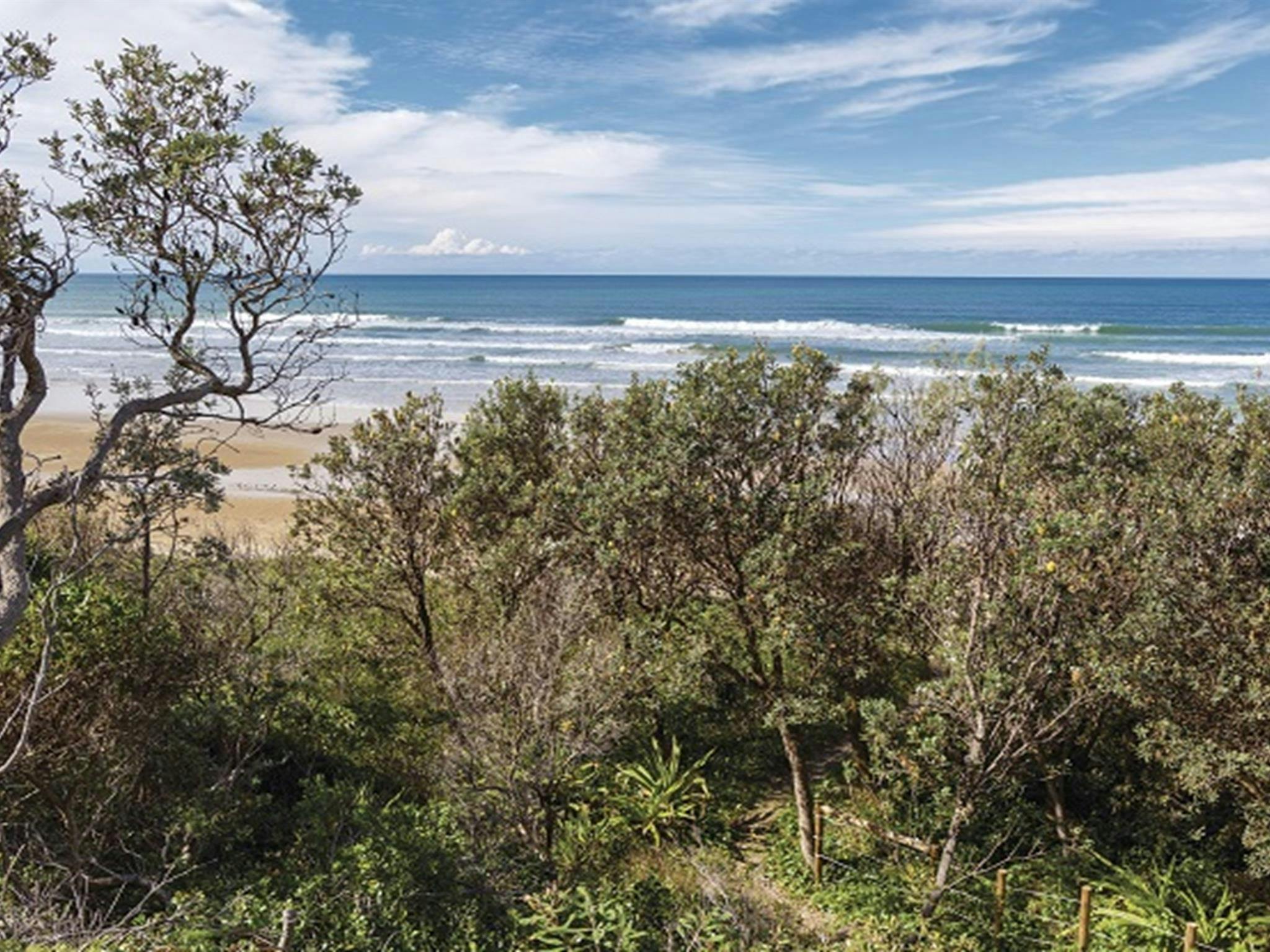 Der Strand des Gruppen-Campingplatzes Illaroo im Yuraygir-Nationalpark. Foto: R Cleary Seen Australia/OEH
