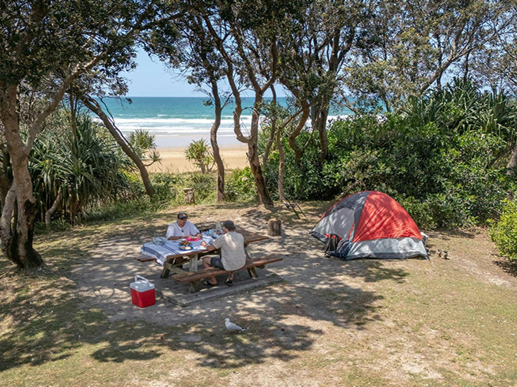 Camper auf ihrem von Bäumen umgebenen Zeltplatz mit Blick auf den Strand auf dem Campingplatz Illaroo.