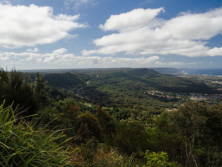 Escarpment, Illawarra Escarpment State Conservation Area. Photo: John Spencer &copy; DPIE