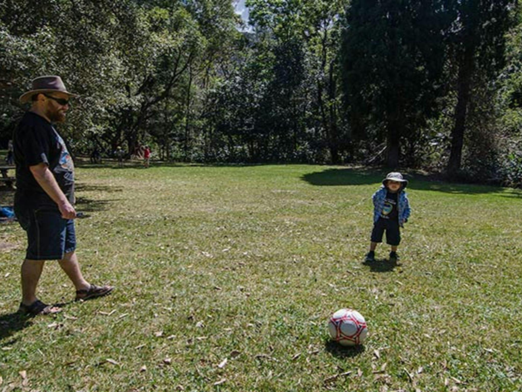 イラワラ・エスカープメント州立保護区のピクニックエリア。写真：ジョン・スペンサー &copy; DPIE